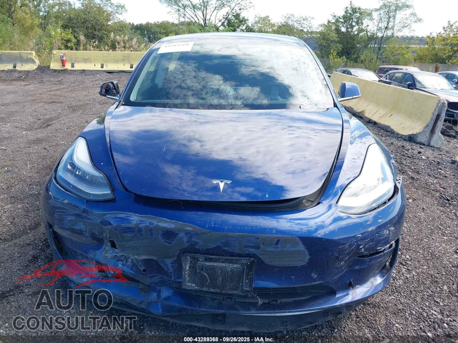 TESLA MODEL 3 2019 - 5YJ3E1EB5KF452660
