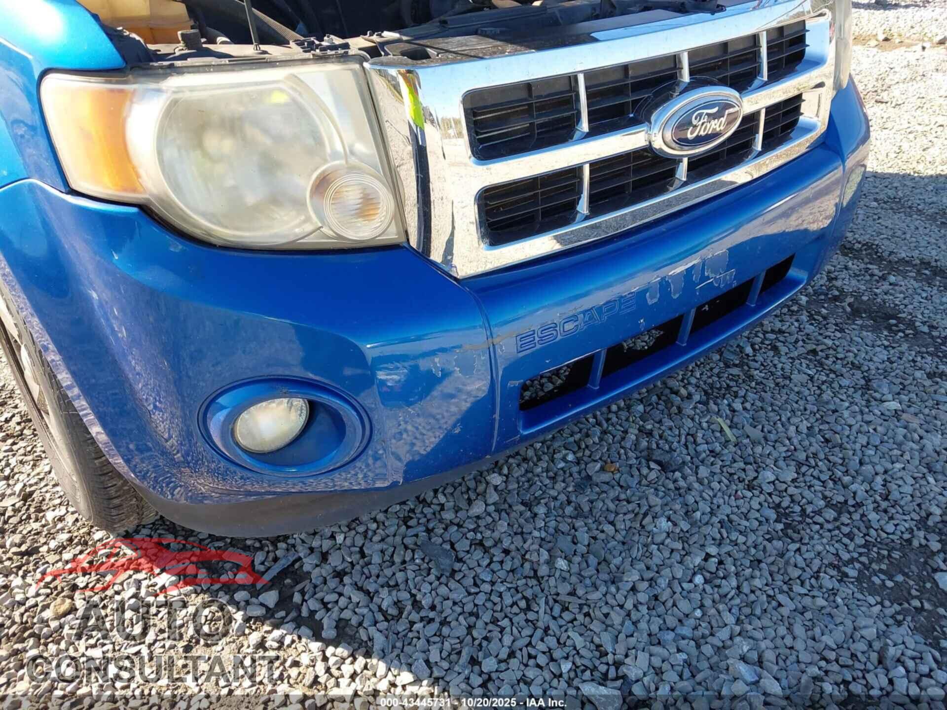 FORD ESCAPE 2011 - 1FMCU0D76BKA78701