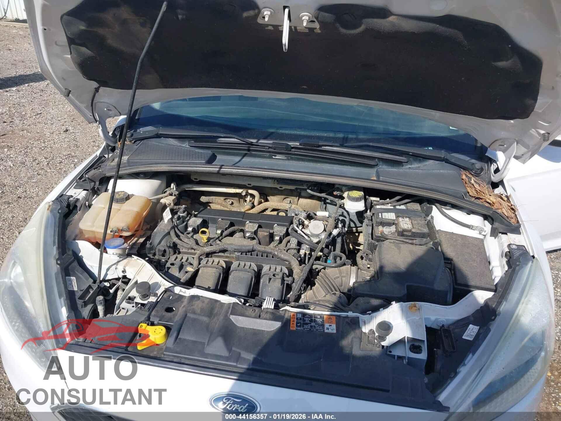 FORD FOCUS 2017 - 1FADP3F21HL295584