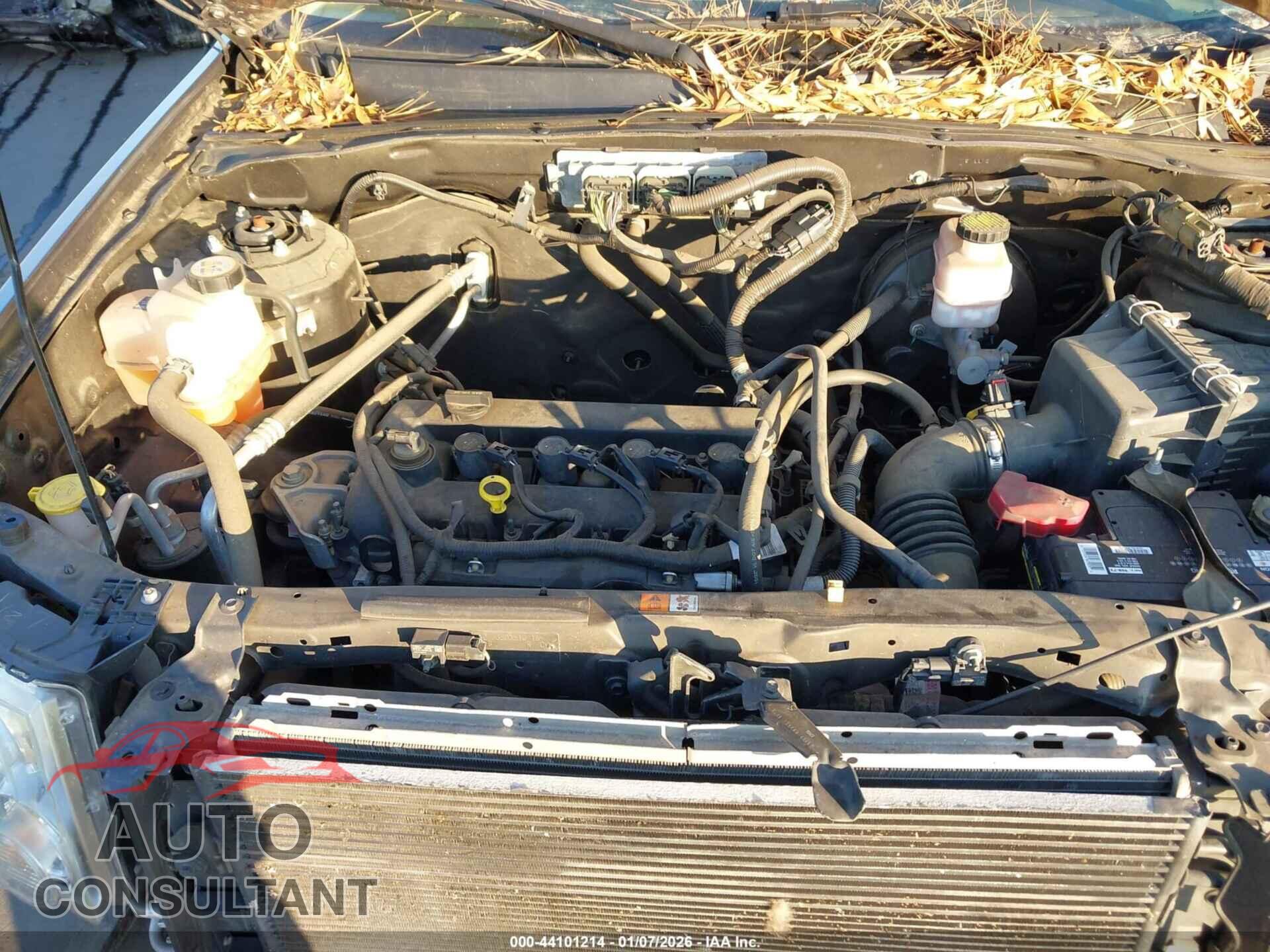 FORD ESCAPE 2012 - 1FMCU0C73CKA54908