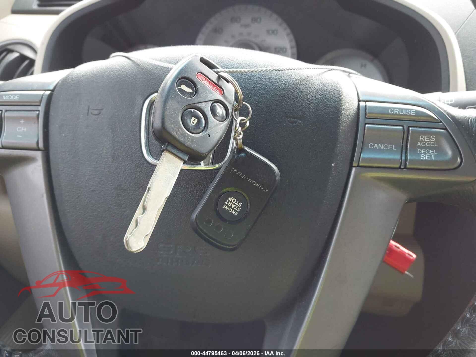 HONDA PILOT 2009 - 5FNYF48509B014505