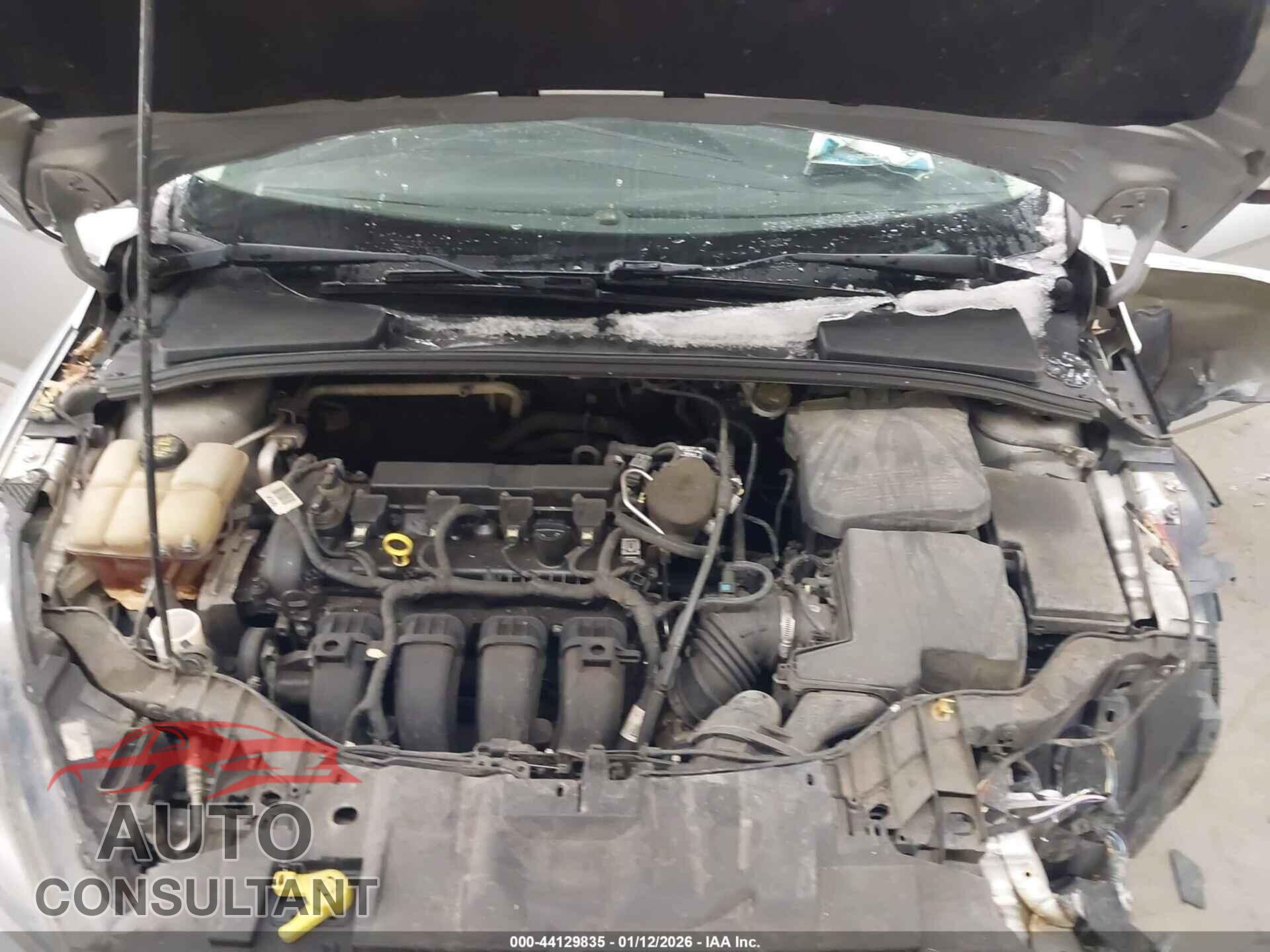 FORD FOCUS 2016 - 1FADP3K20GL242573