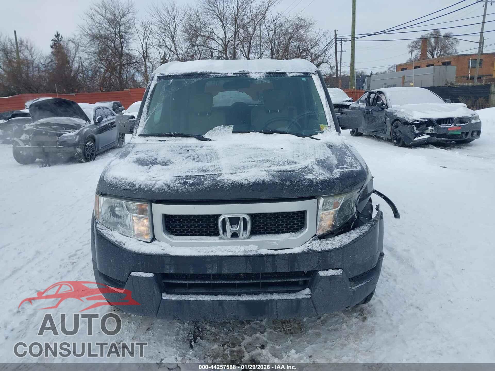 HONDA ELEMENT 2011 - 5J6YH2H31BL003796