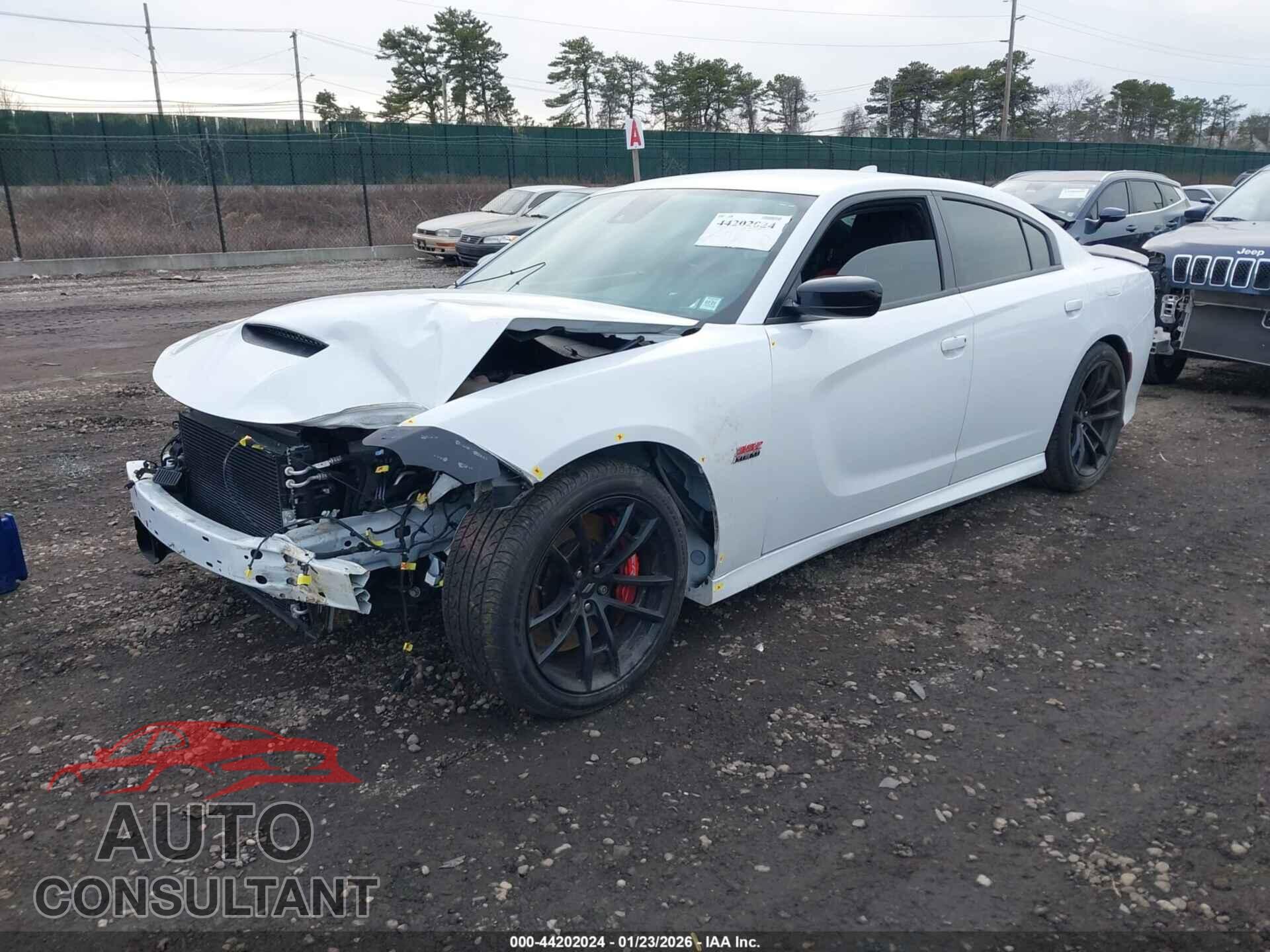 DODGE CHARGER 2023 - 2C3CDXGJXPH506258
