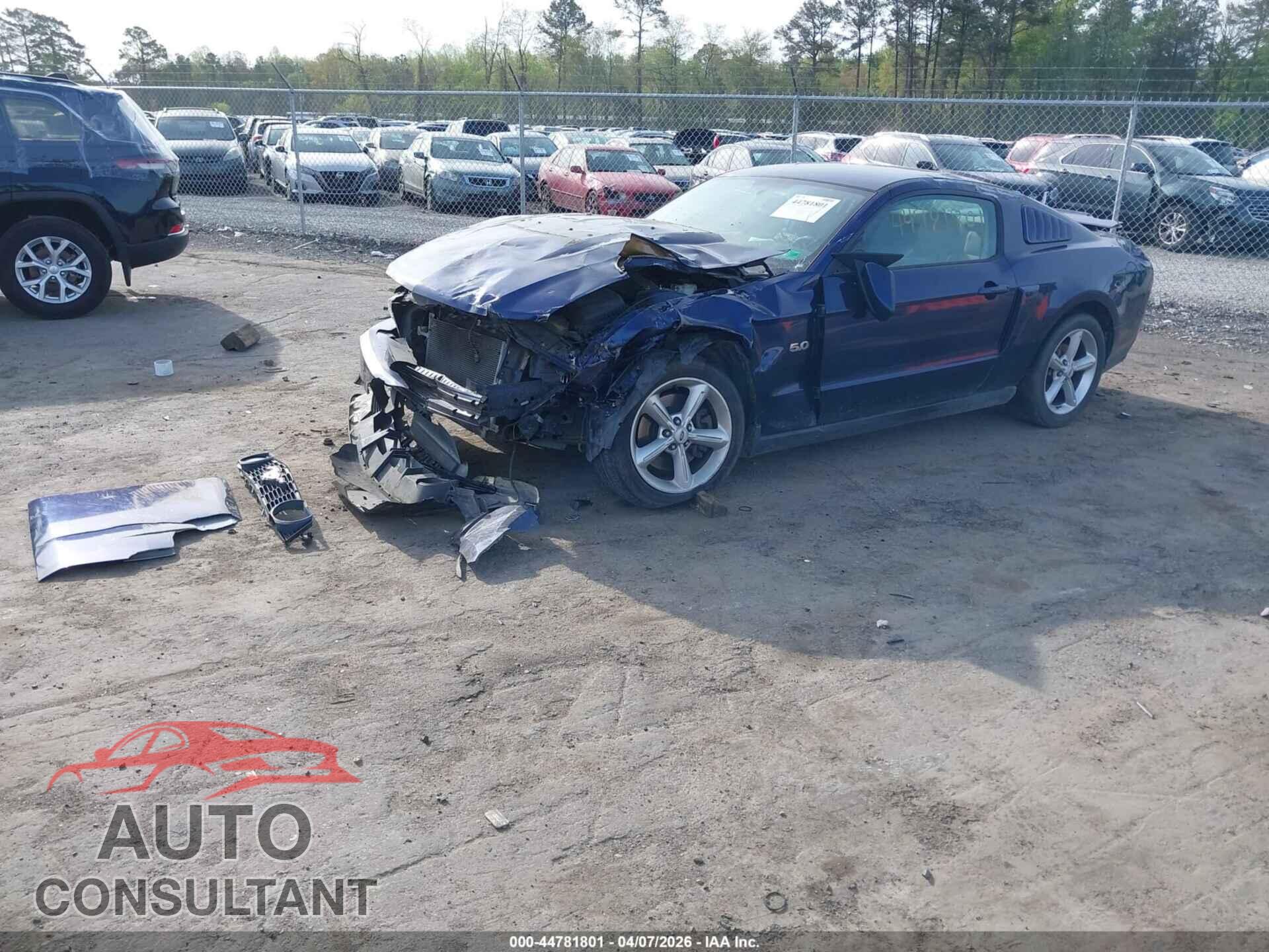 FORD MUSTANG 2011 - 1ZVBP8CF5B5148960