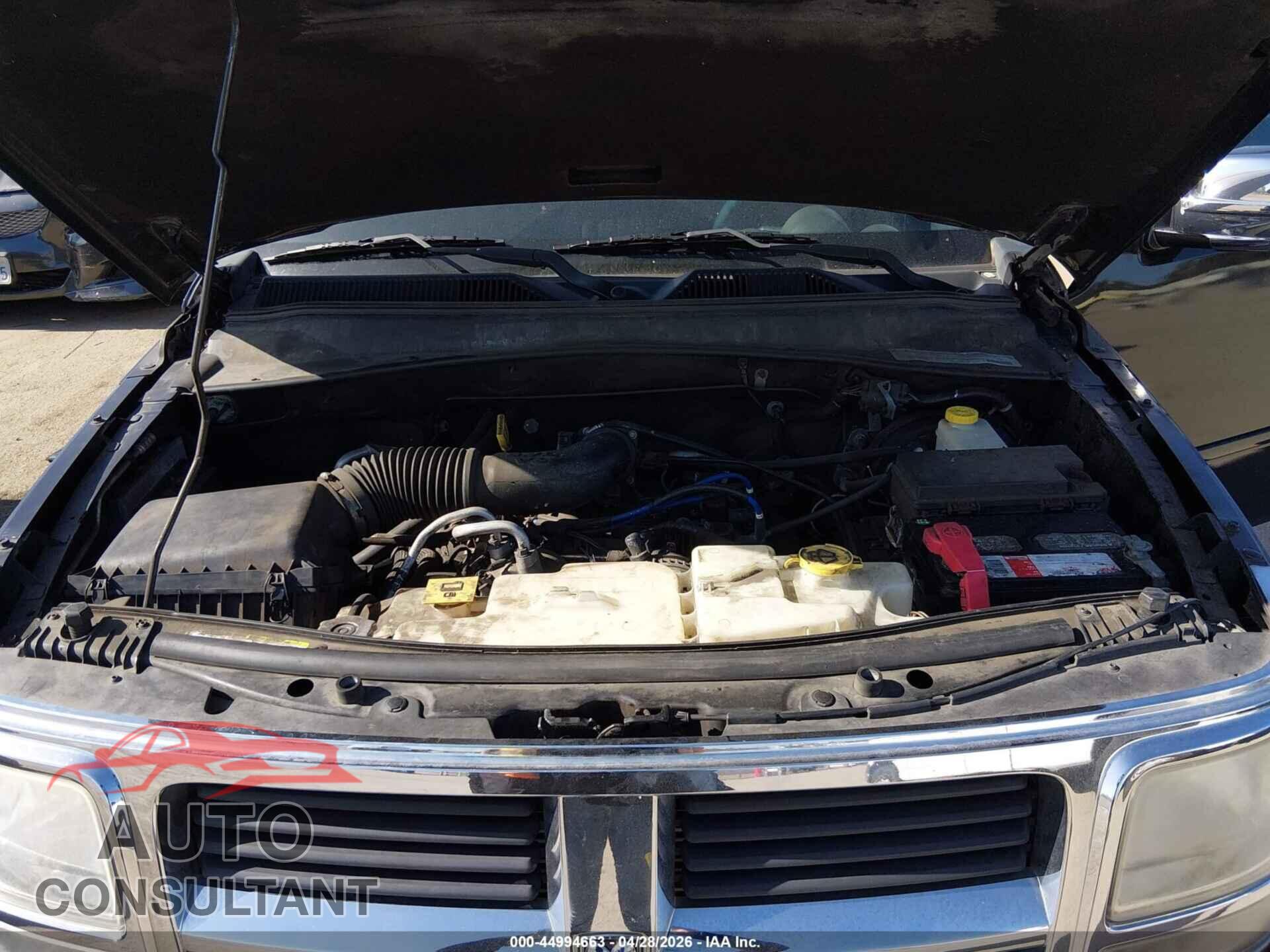 DODGE NITRO 2011 - 1D4PU2GK5BW515195