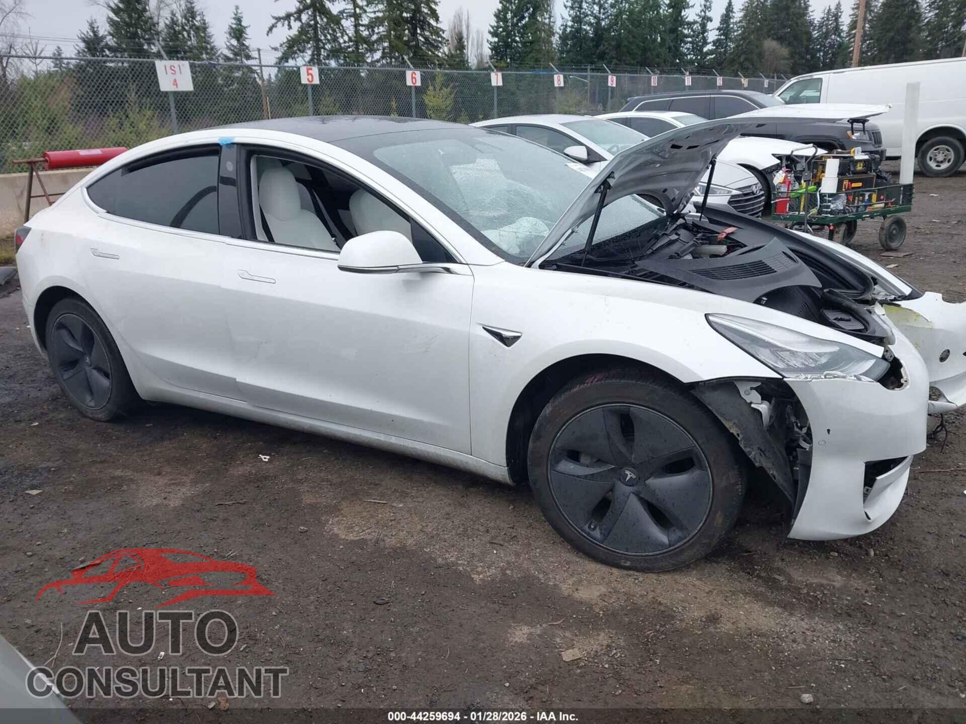 TESLA MODEL 3 2019 - 5YJ3E1EB6KF406819