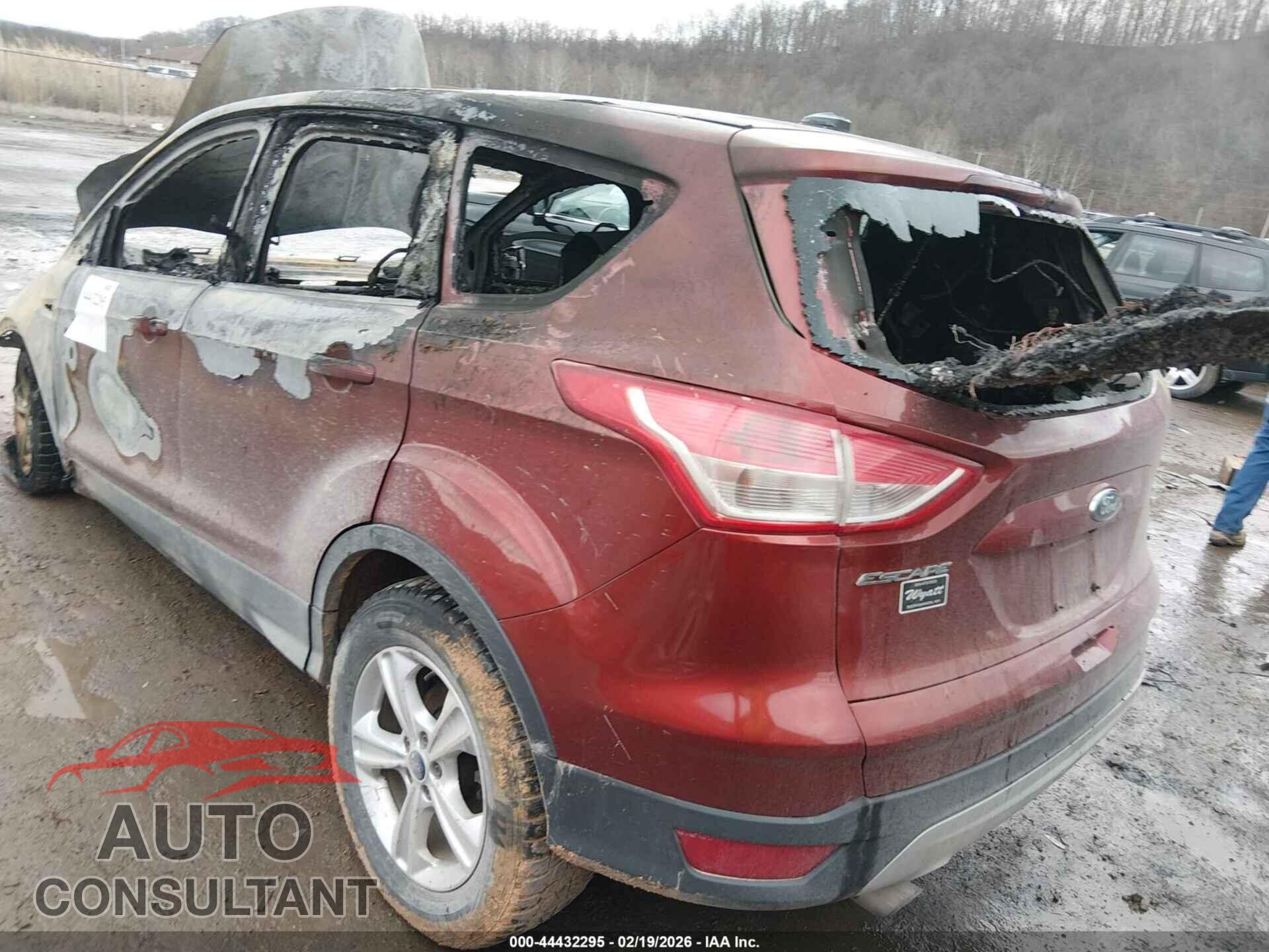 FORD ESCAPE 2014 - 1FMCU9GX4EUB26088