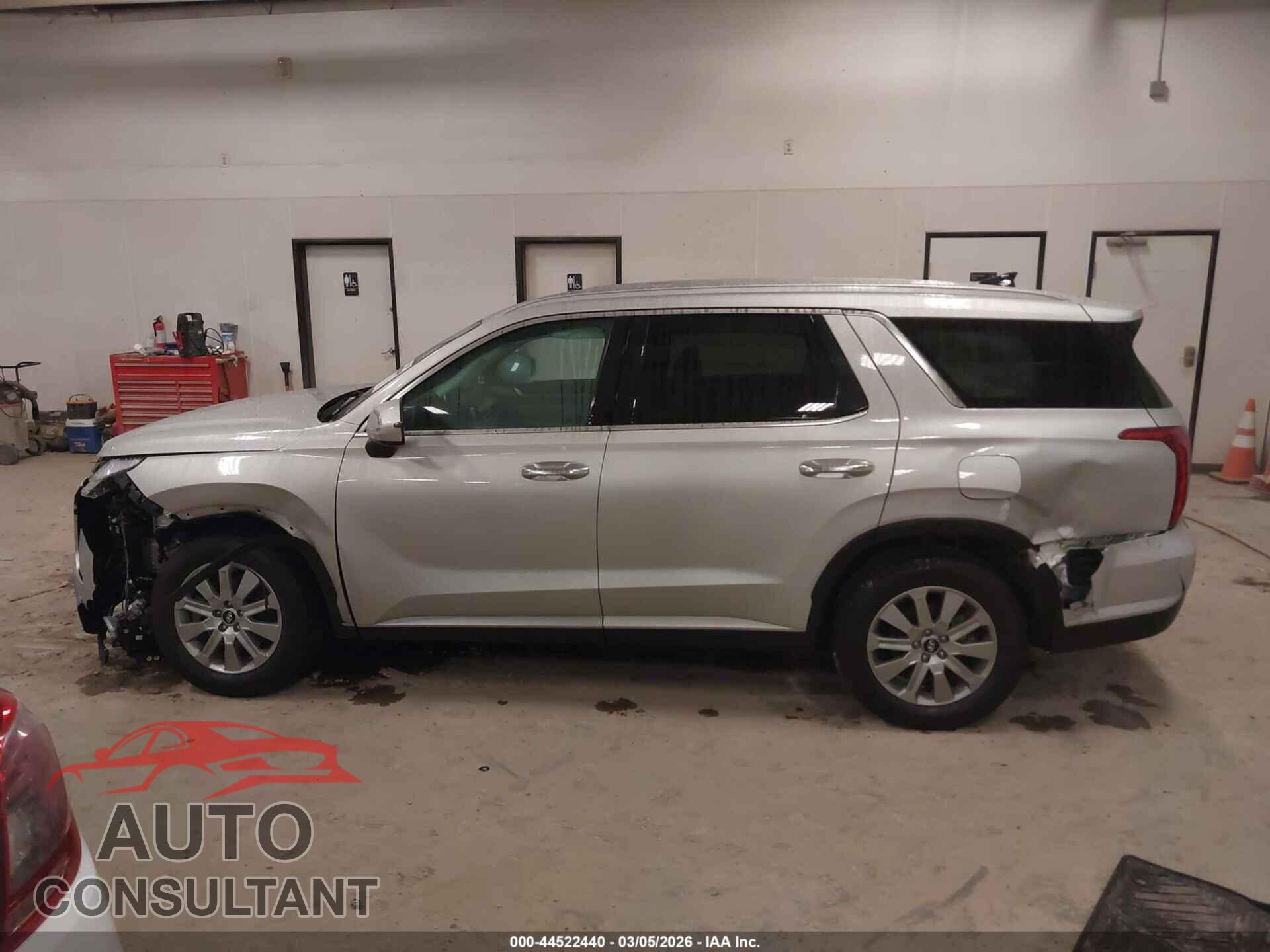 HYUNDAI PALISADE 2025 - KM8R2DGE1SU844629
