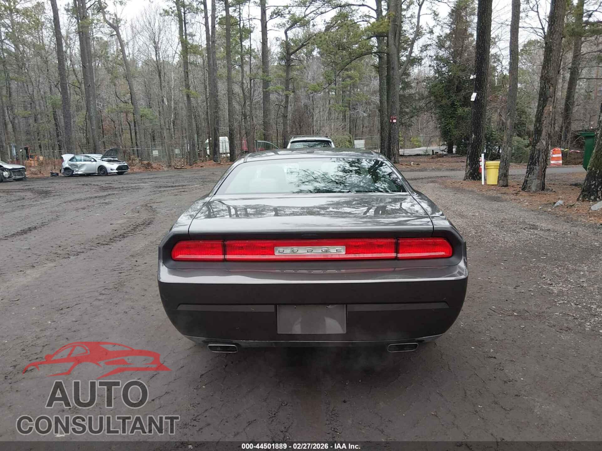 DODGE CHALLENGER 2013 - 2C3CDYAG2DH724726