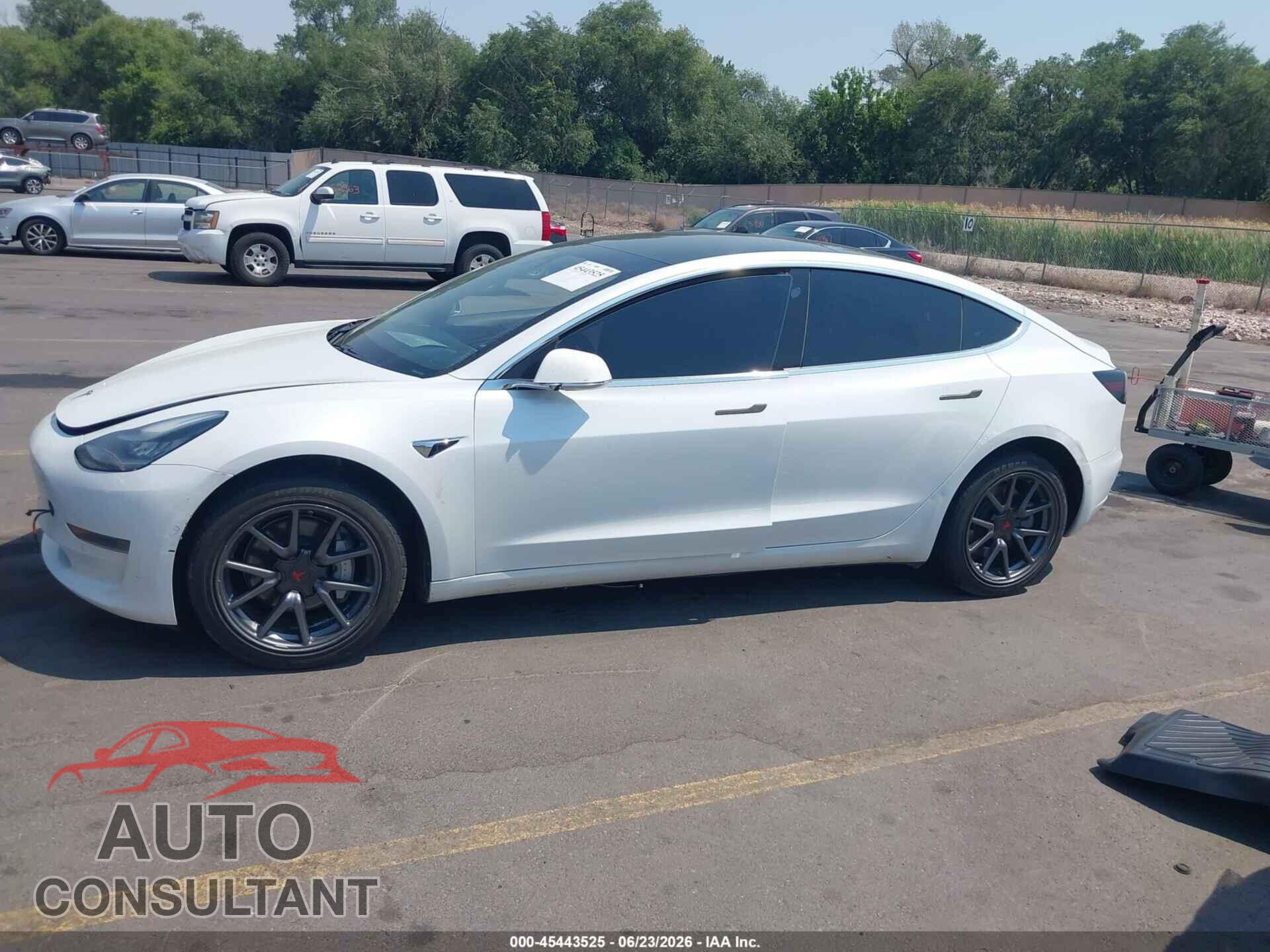 TESLA MODEL 3 2019 - 5YJ3E1EA8KF435701