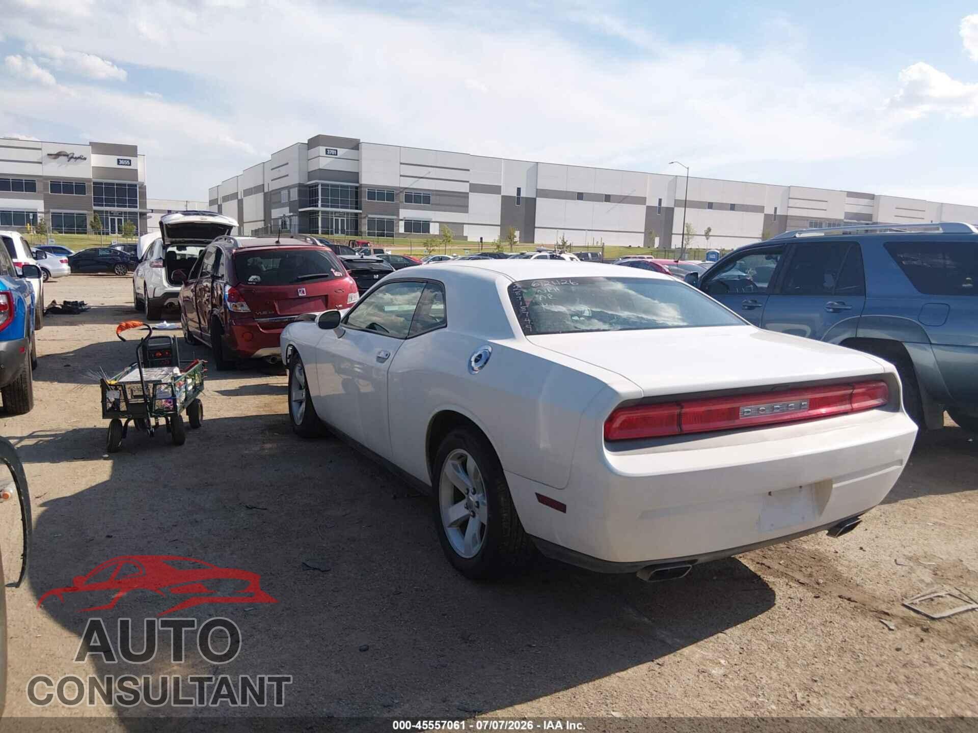 DODGE CHALLENGER 2013 - 2C3CDYAG3DH641242