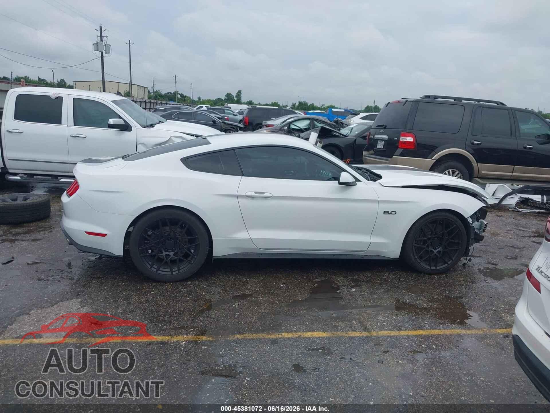 FORD MUSTANG 2019 - 1FA6P8CF0K5152117