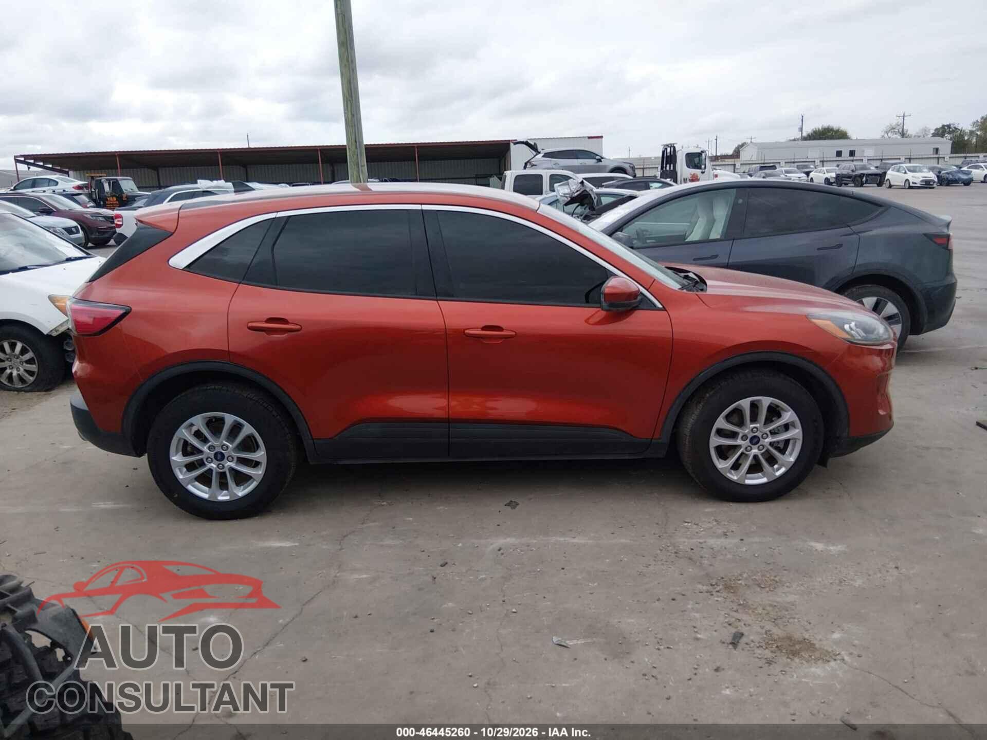 FORD ESCAPE 2020 - 1FMCU9G61LUA83558