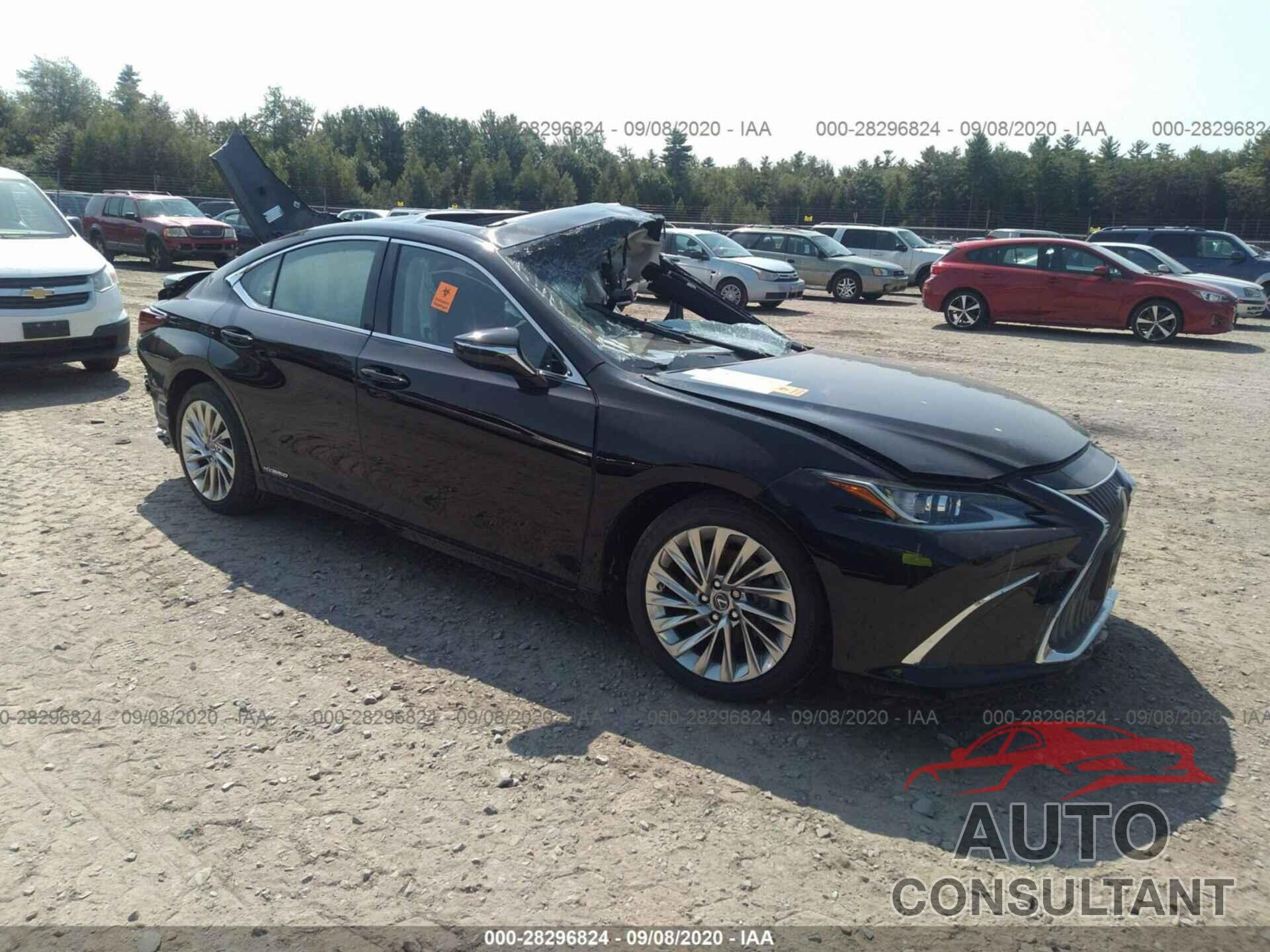 LEXUS ES 2019 - JTHB21B11K2023226