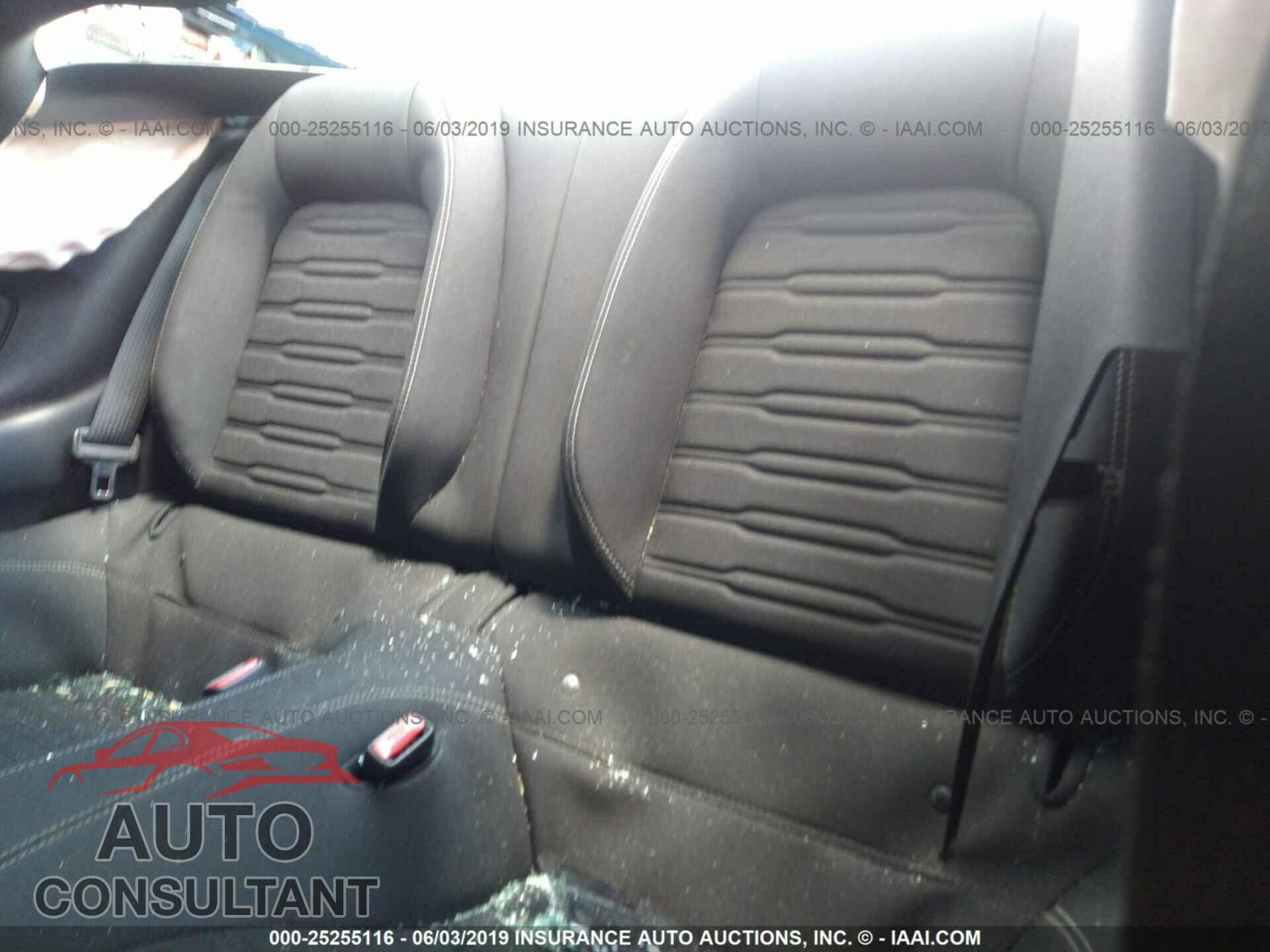 FORD MUSTANG 2017 - 1FA6P8TH1H5244282