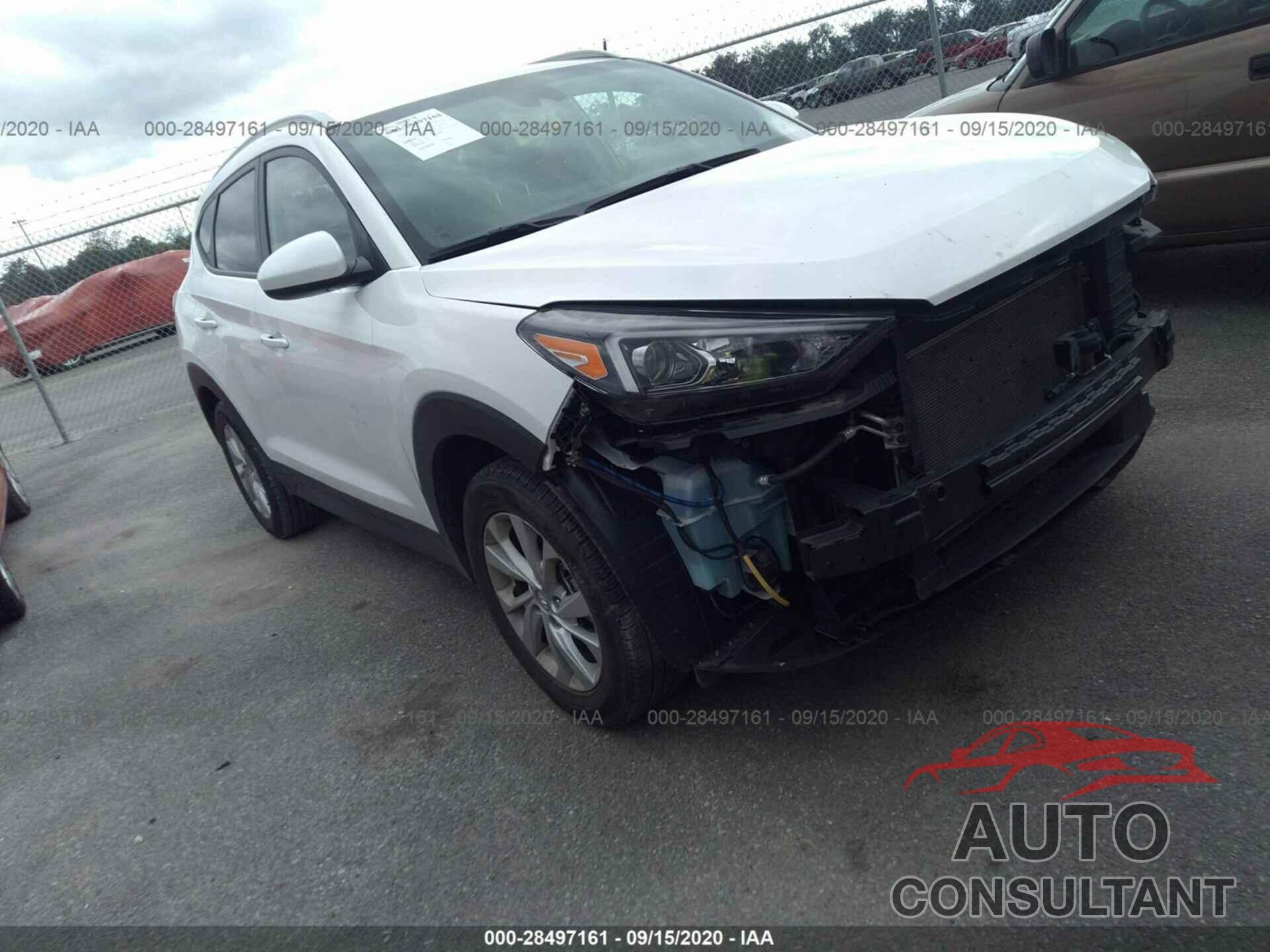 HYUNDAI TUCSON 2019 - KM8J33A45KU915576