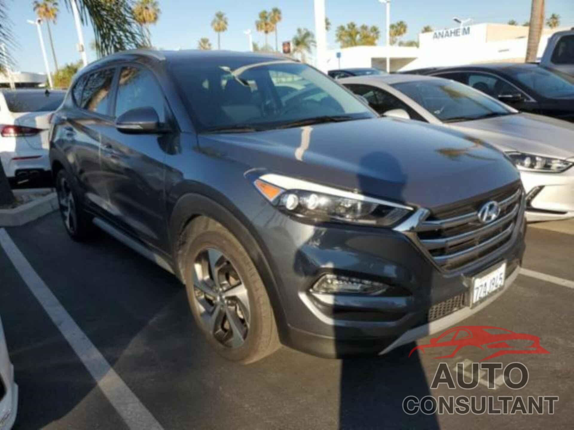 HYUNDAI TUCSON 2017 - KM8J33A24HU482503