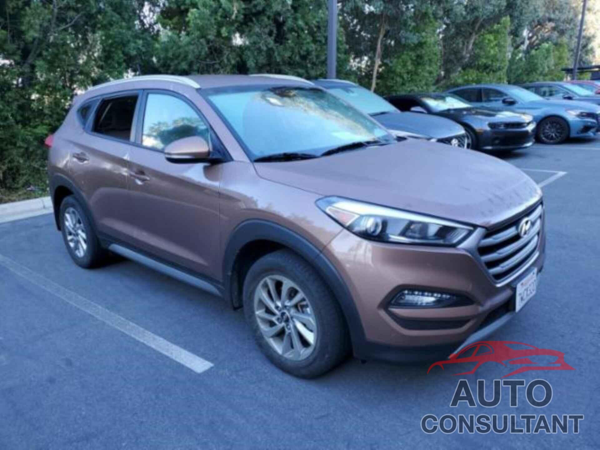 HYUNDAI TUCSON 2017 - KM8J33A21HU332493