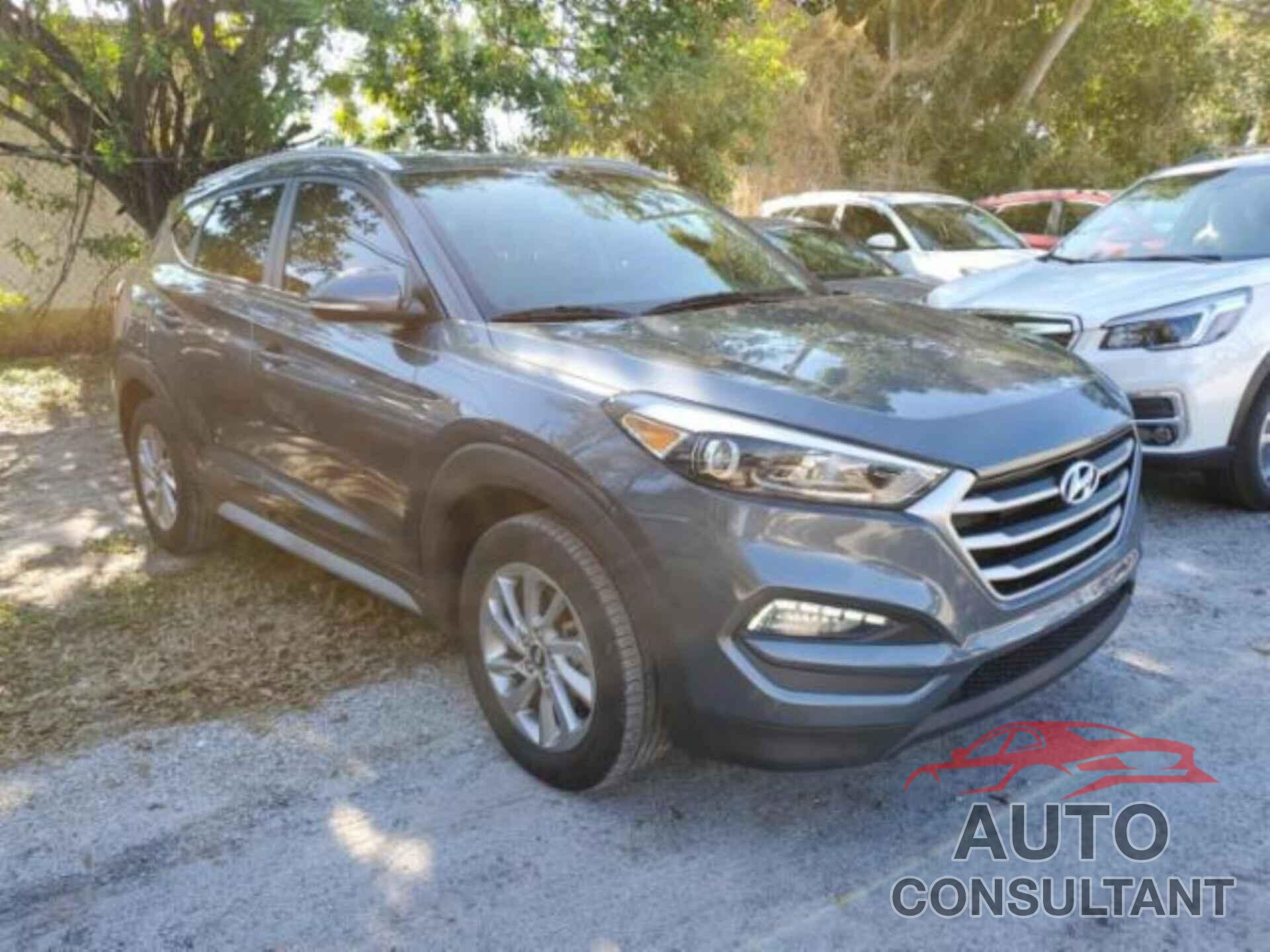 HYUNDAI TUCSON 2017 - KM8J33A40HU538423