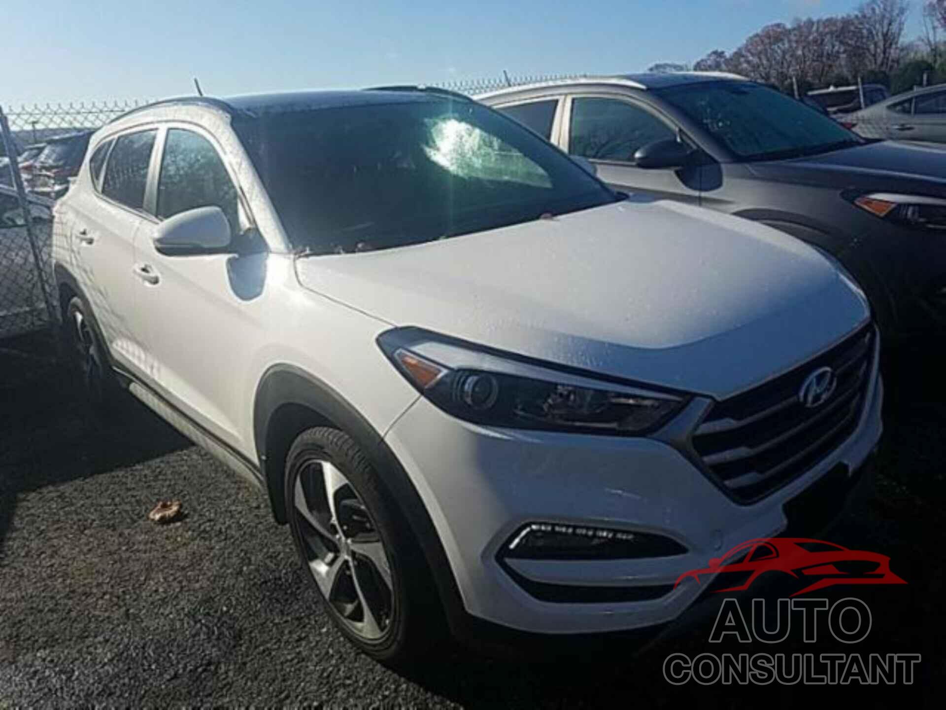 HYUNDAI TUCSON 2017 - KM8J3CA26HU564801