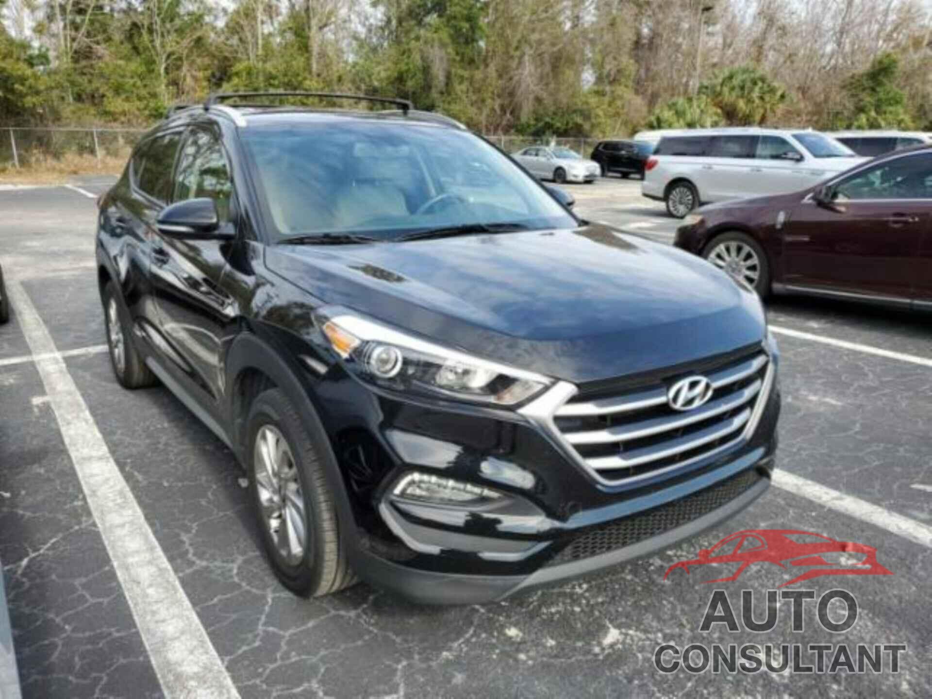 HYUNDAI TUCSON 2017 - KM8J33A41HU522537