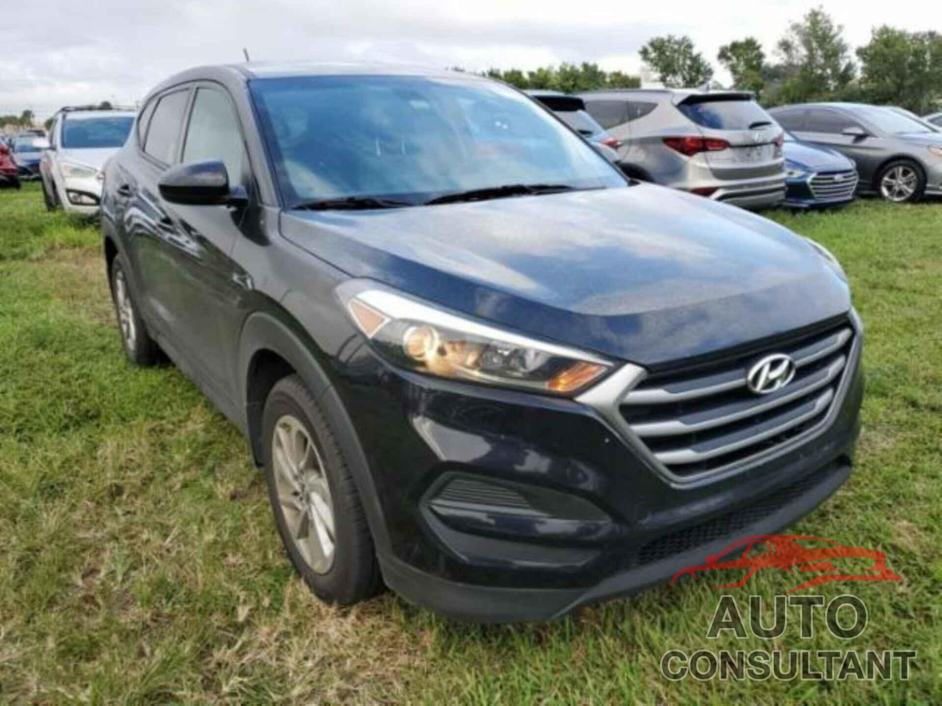HYUNDAI TUCSON 2017 - KM8J23A40HU410783