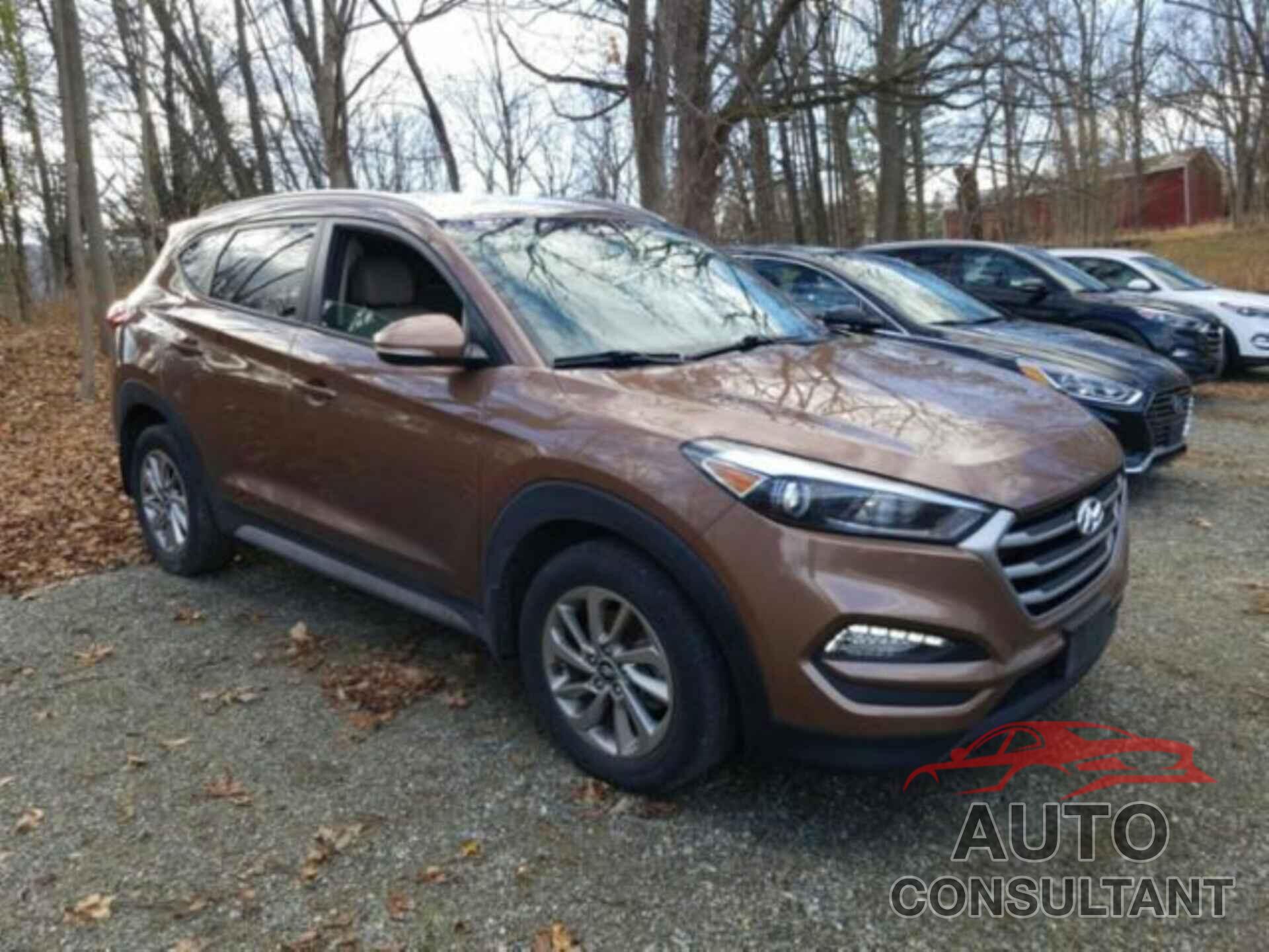 HYUNDAI TUCSON 2017 - KM8J3CA41HU439688