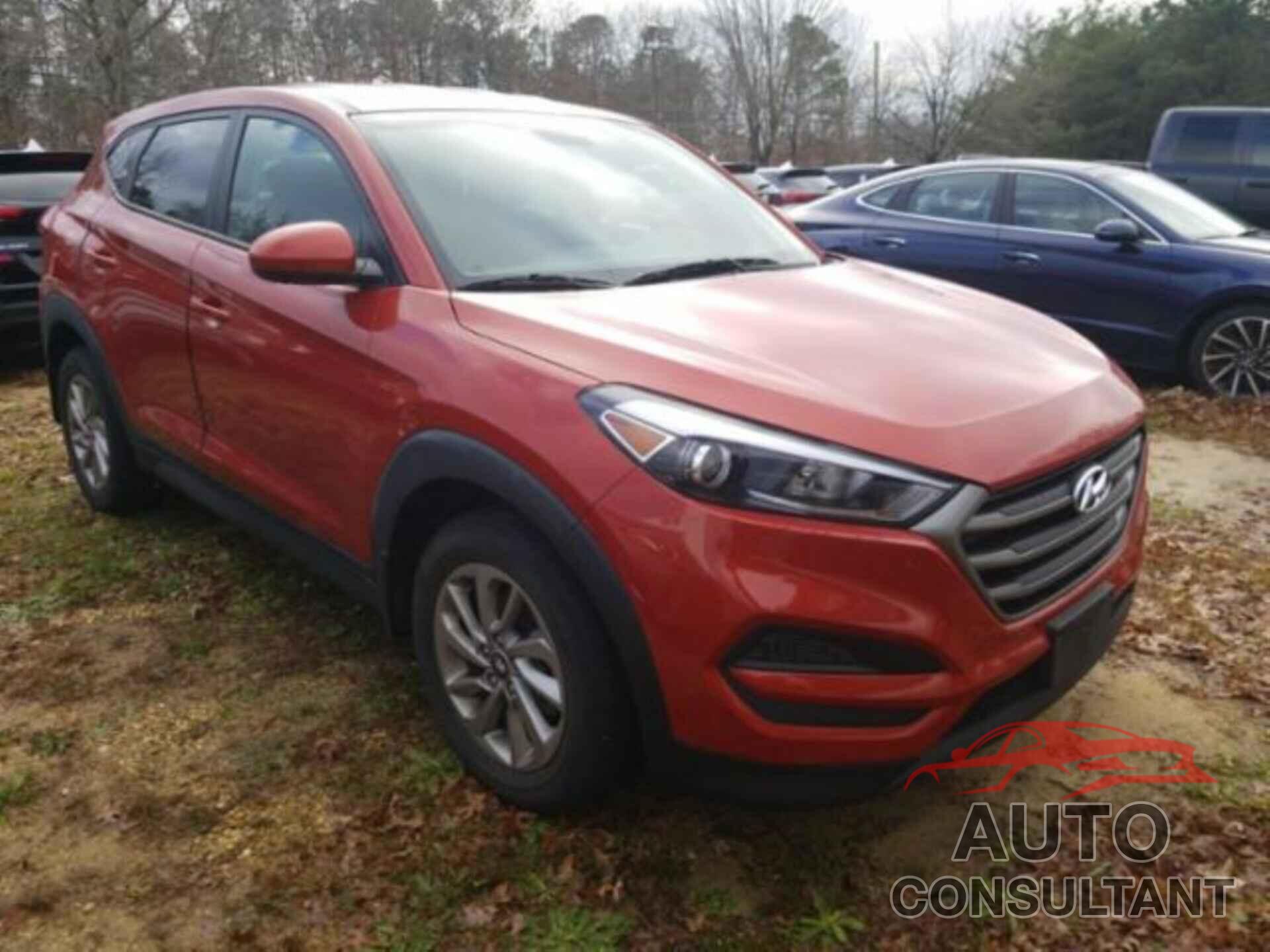 HYUNDAI TUCSON 2017 - KM8J23A47HU576525