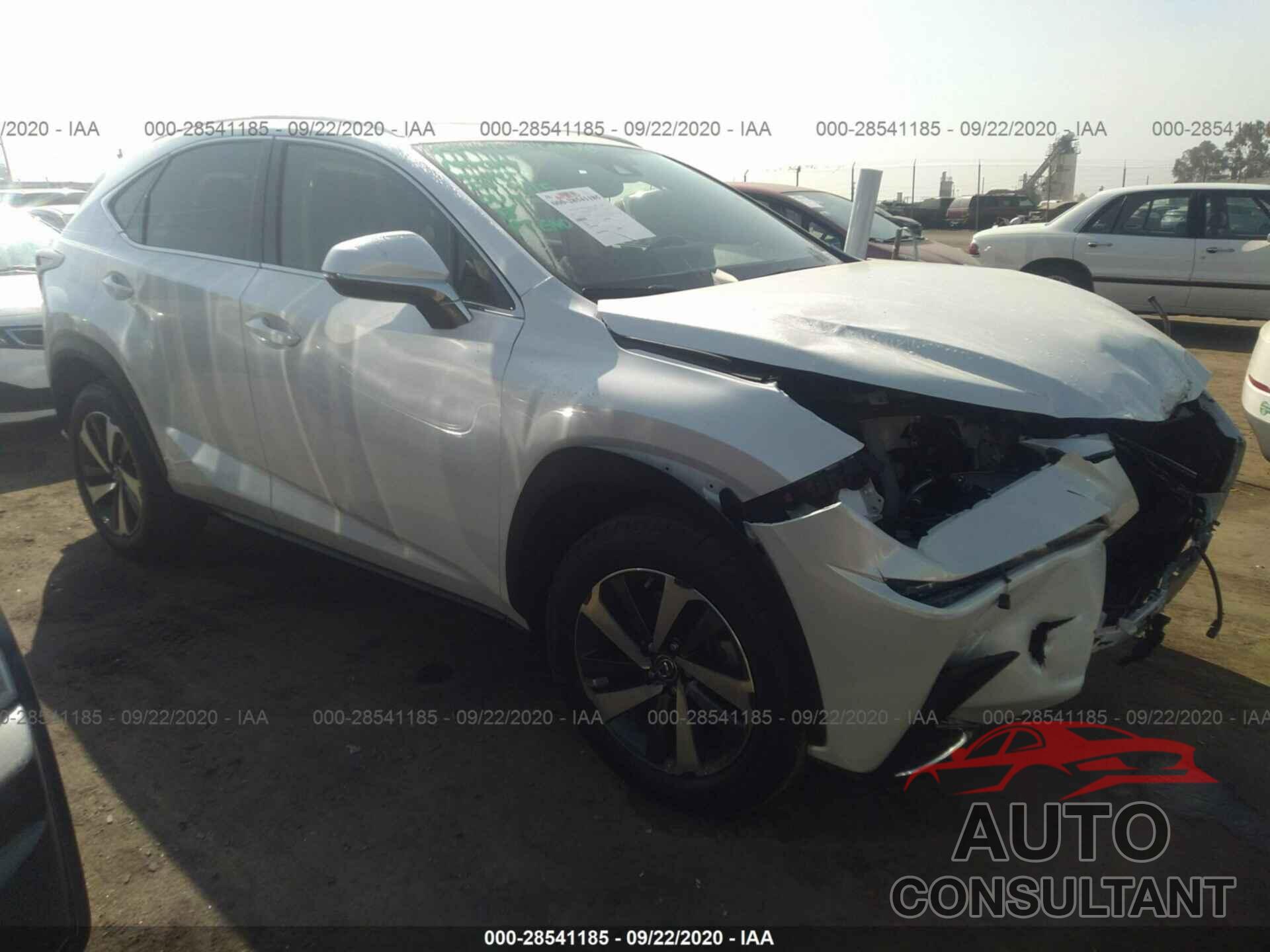 LEXUS NX 2020 - JTJDARBZ5L5006802