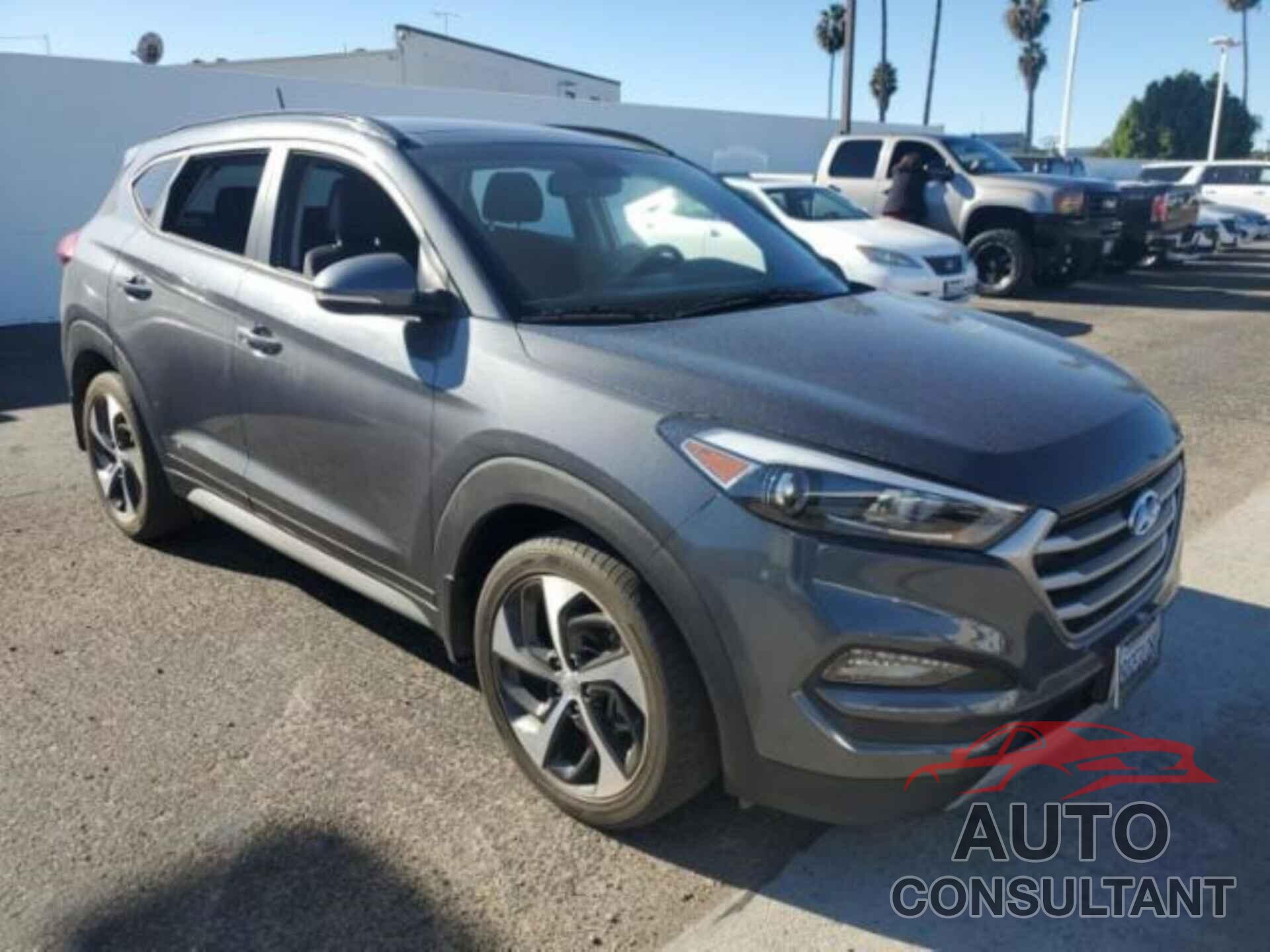HYUNDAI TUCSON 2017 - KM8J33A21HU563054