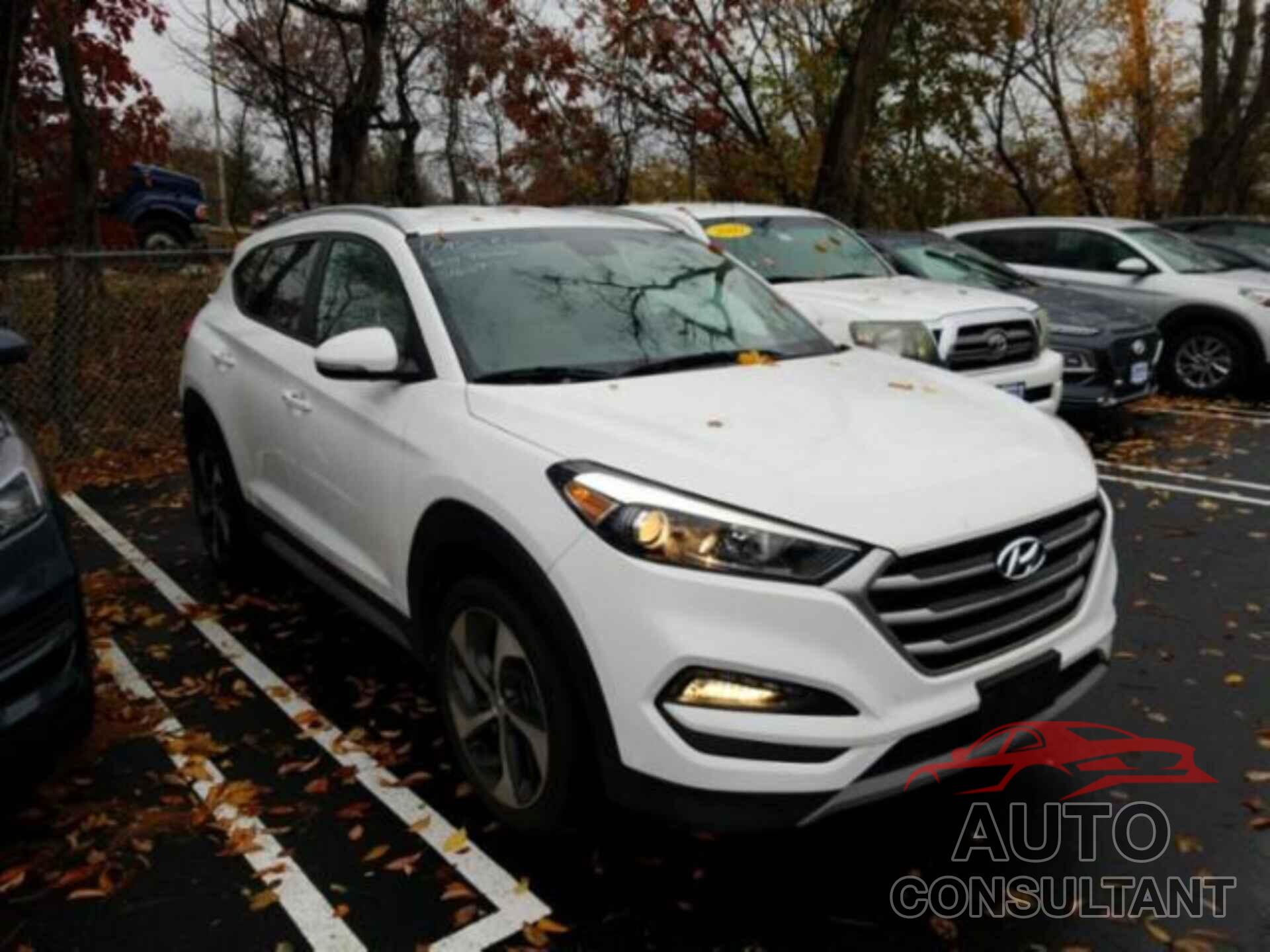 HYUNDAI TUCSON 2017 - KM8J3CA24HU516097