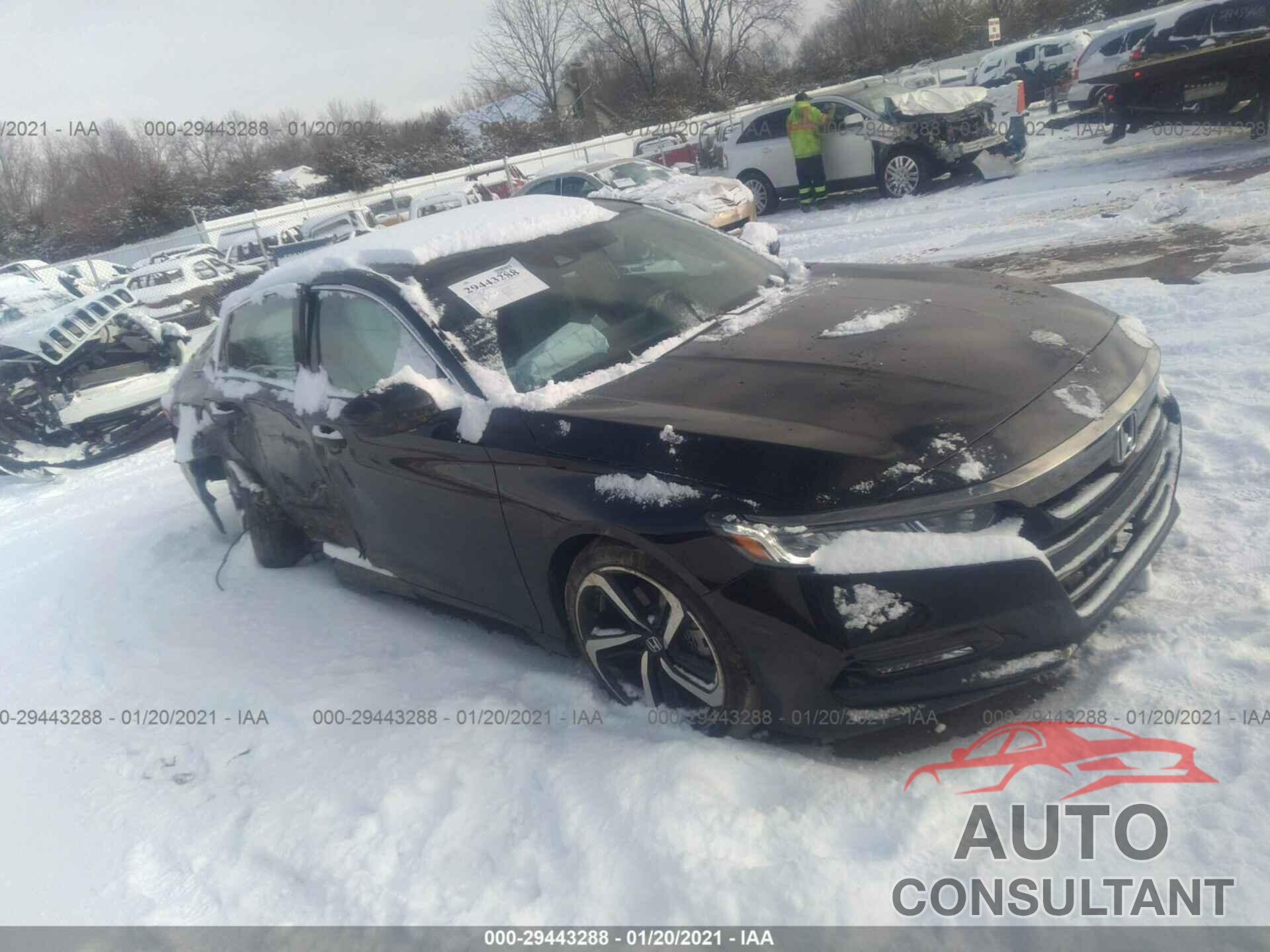 HONDA ACCORD SEDAN 2019 - 1HGCV1F30KA115671