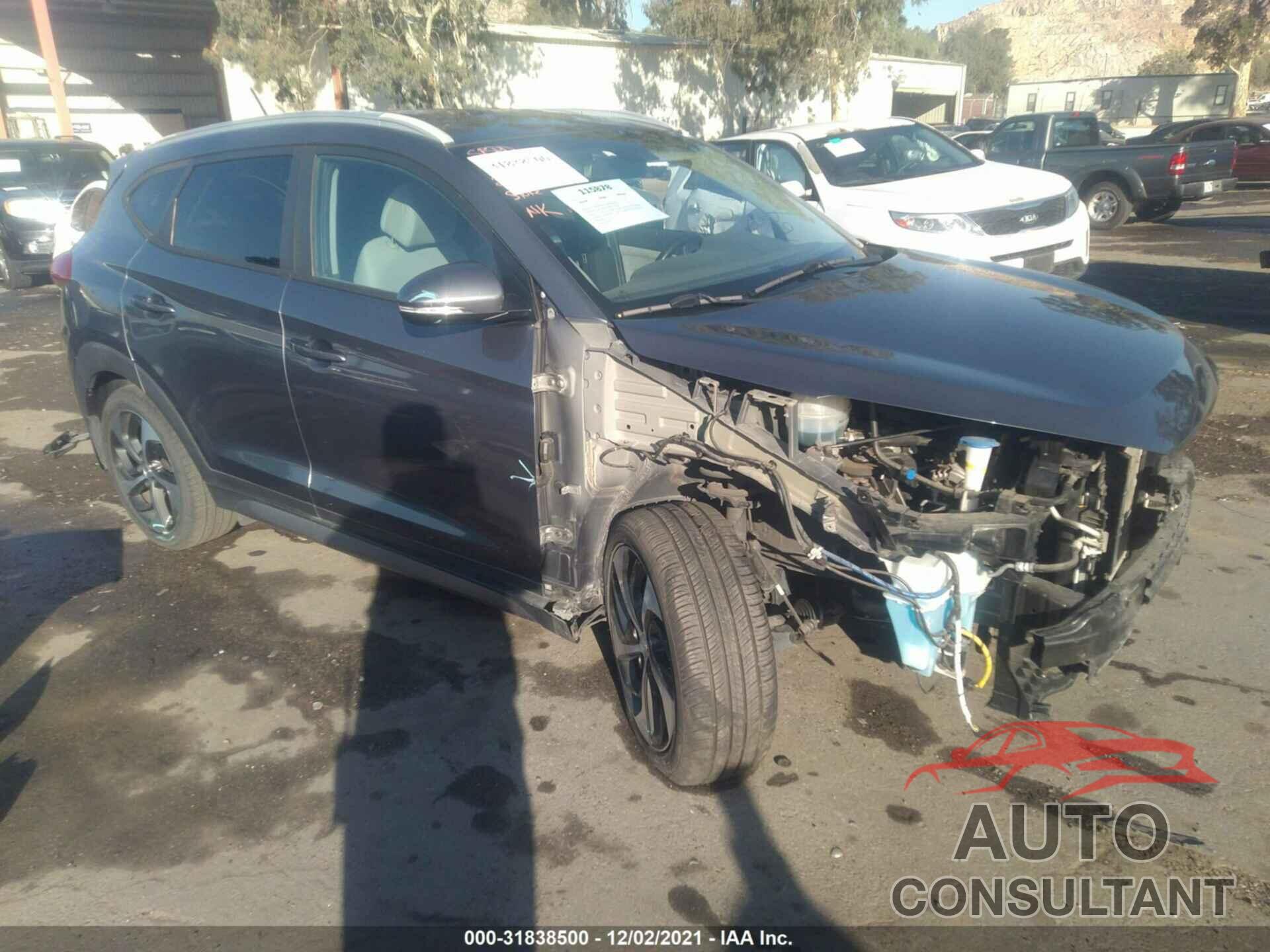 HYUNDAI TUCSON 2017 - KM8J33A24HU325764