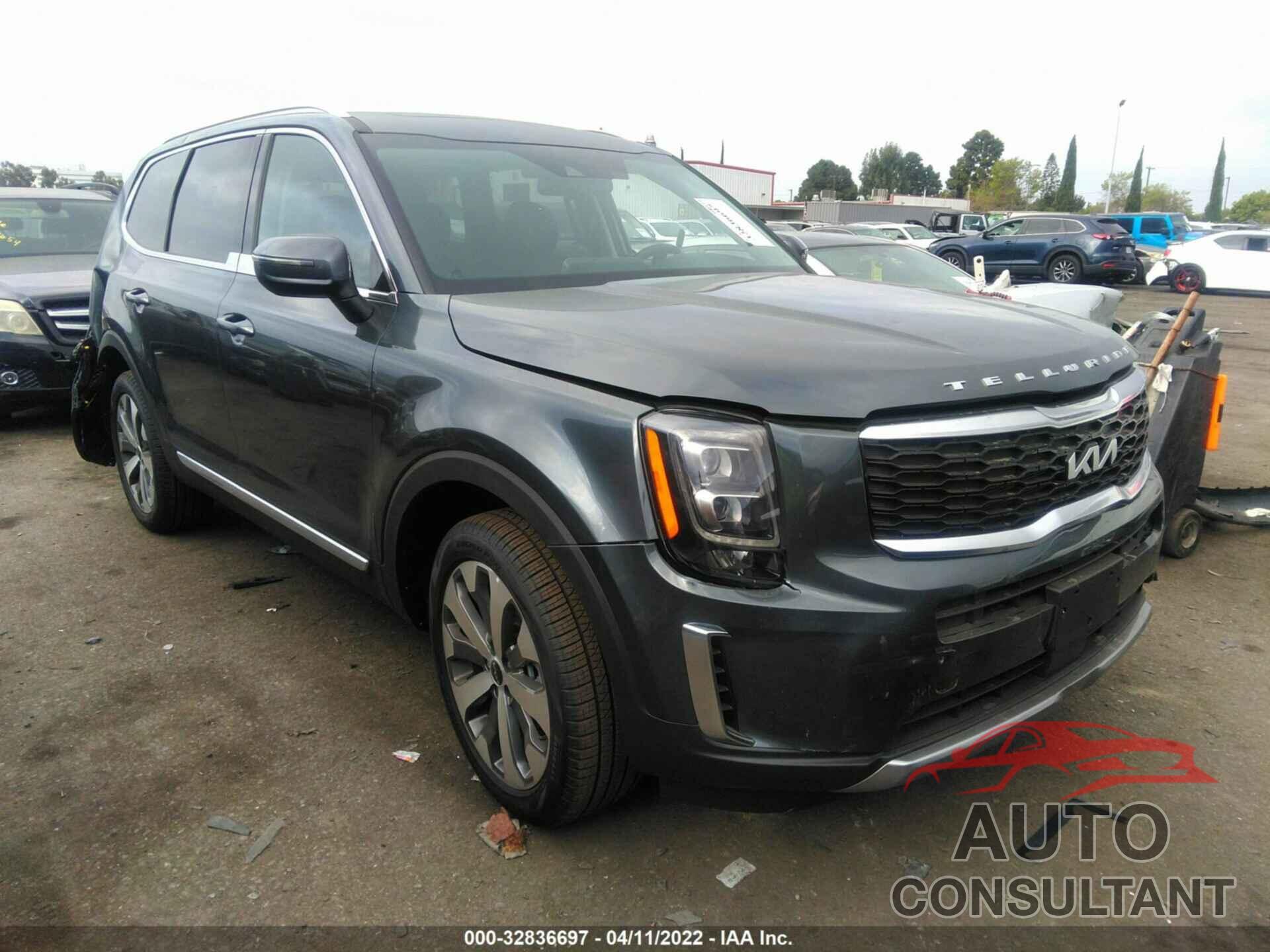 KIA TELLURIDE 2022 - 5XYP34HC5NG260701