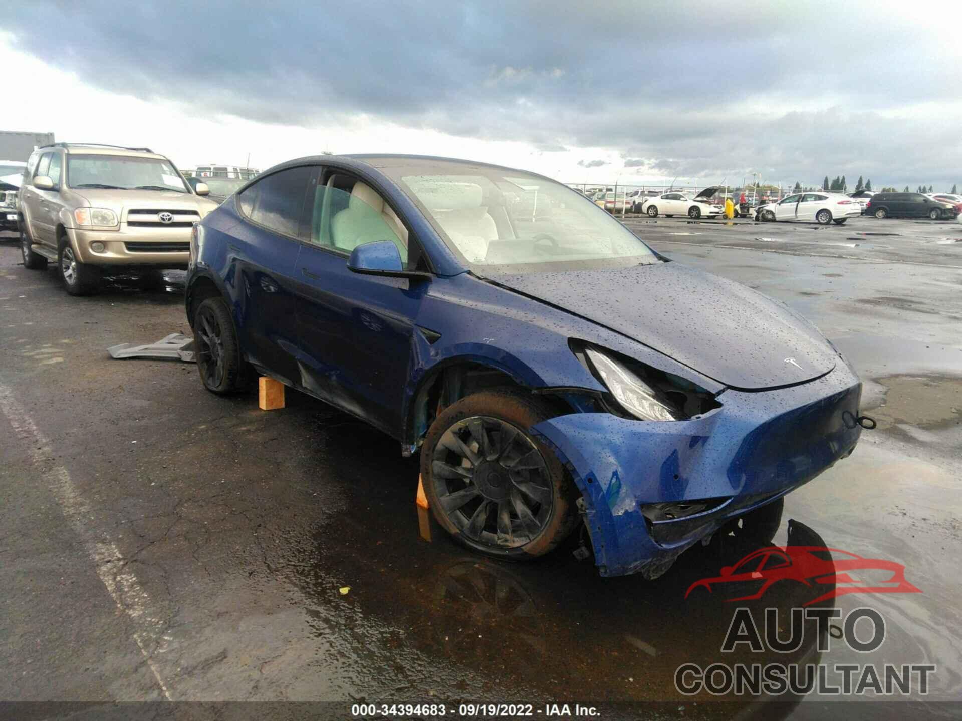 TESLA MODEL Y 2021 - 5YJYGDEE9MF093201