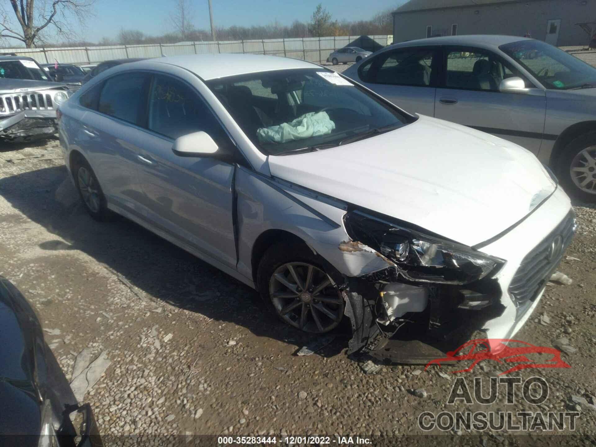 HYUNDAI SONATA 2019 - 5NPE24AF7KH760491
