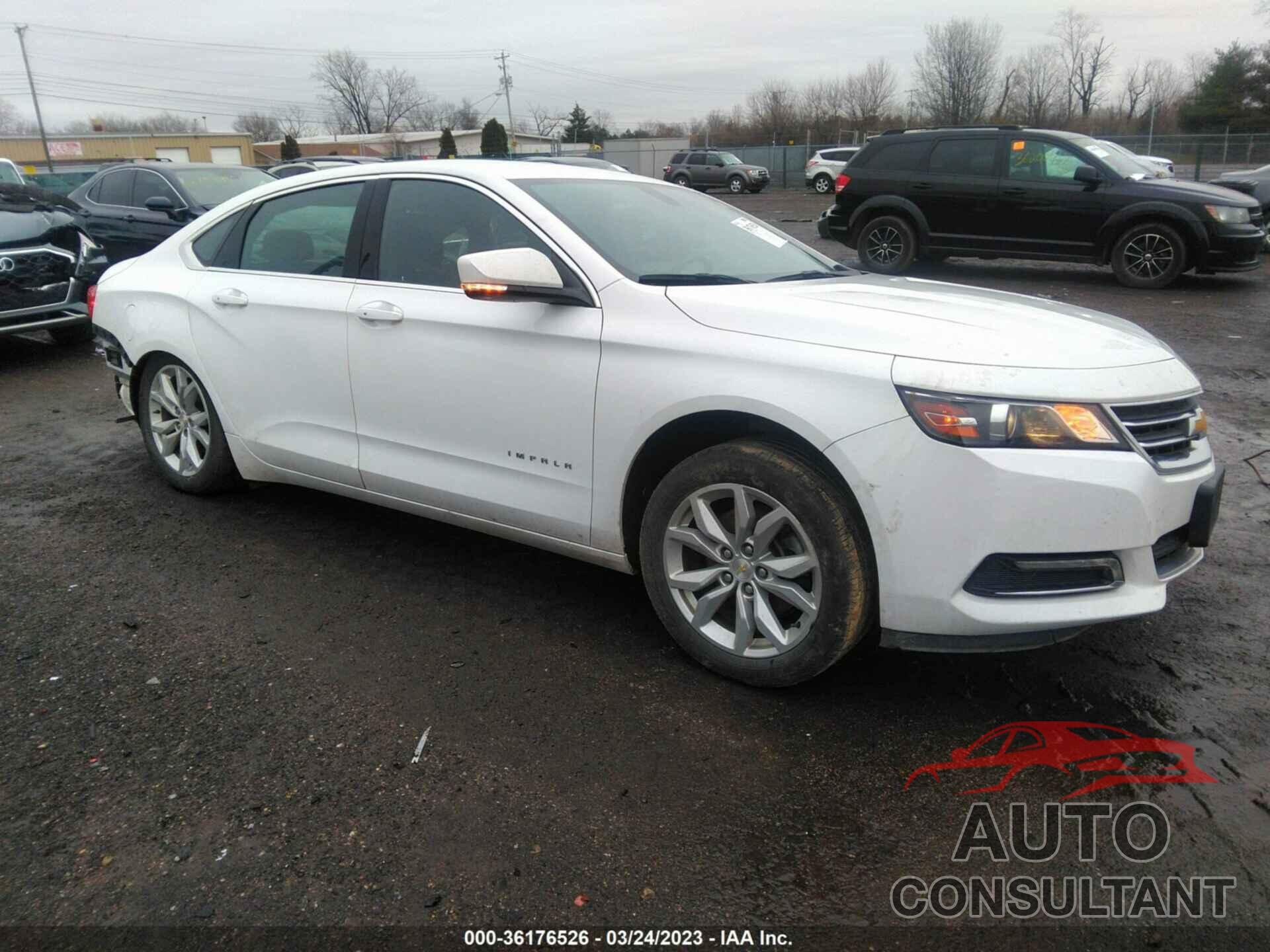 CHEVROLET IMPALA 2019 - 1G11Z5S3XKU102893