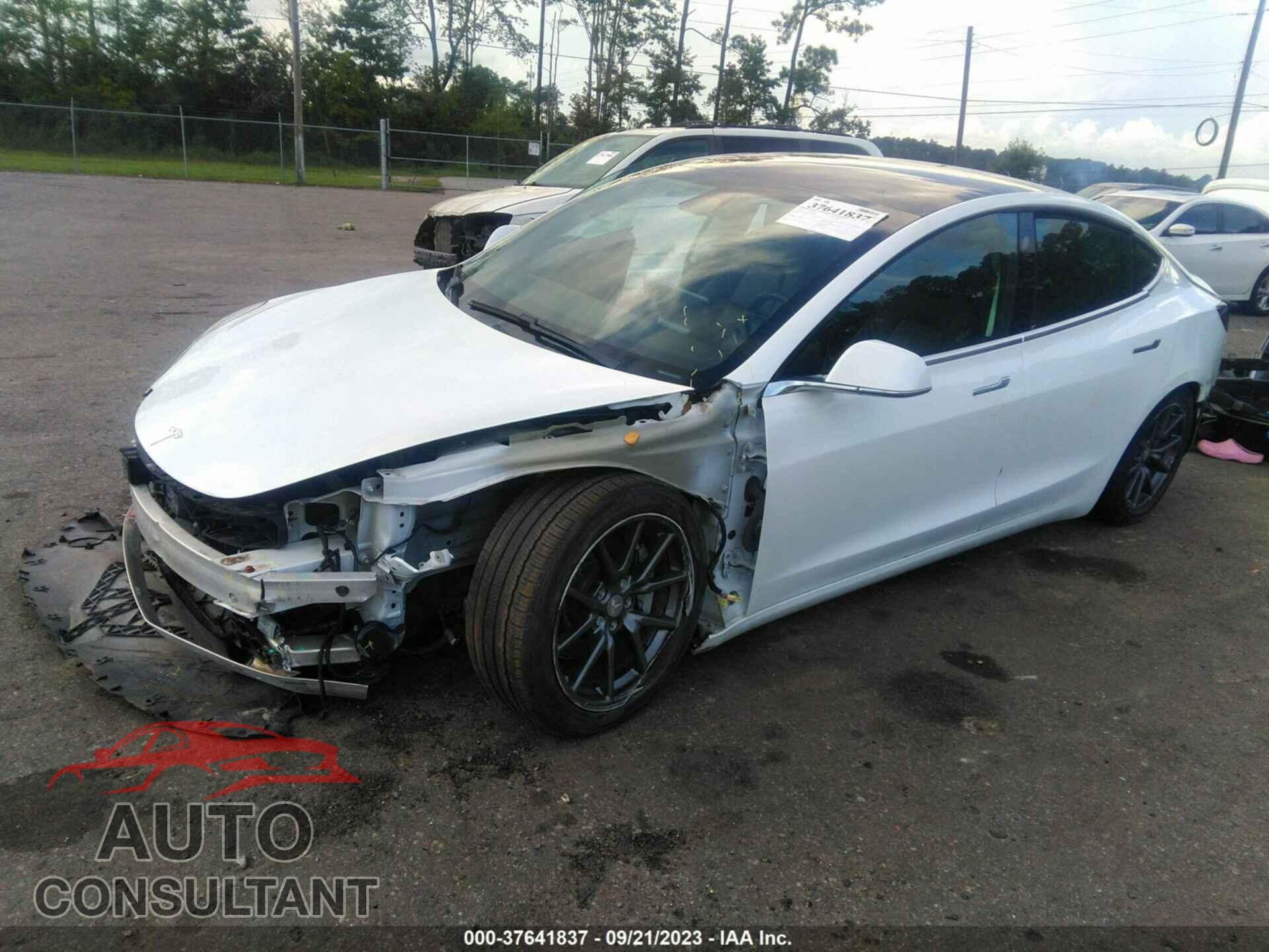 TESLA MODEL 3 2019 - 5YJ3E1EA0KF424806