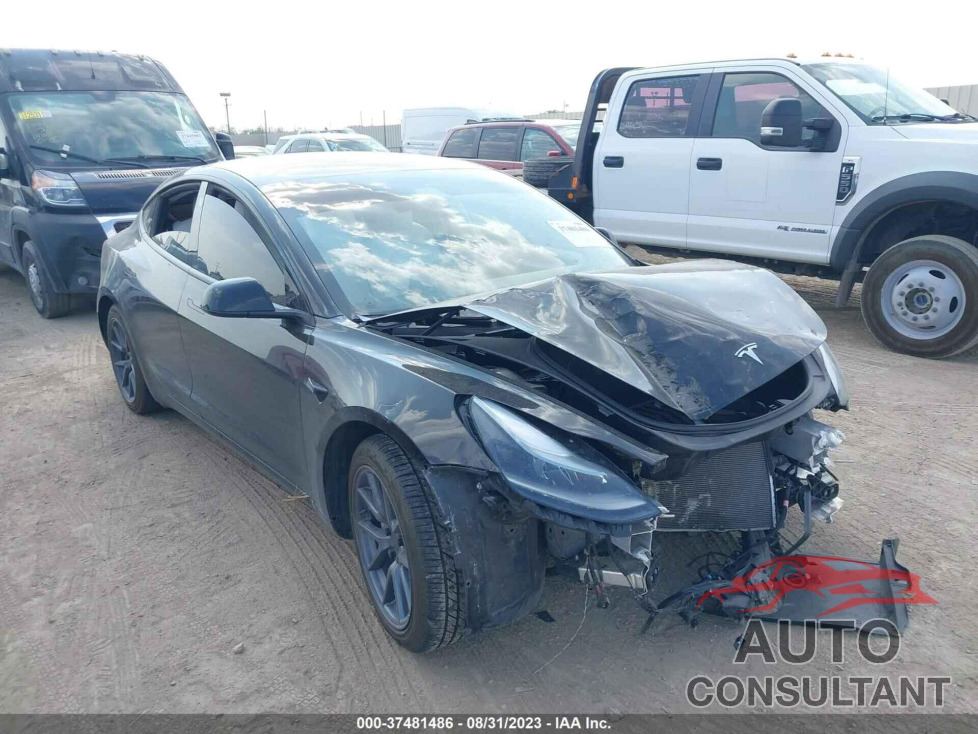 TESLA MODEL 3 2021 - 5YJ3E1EA9MF081481