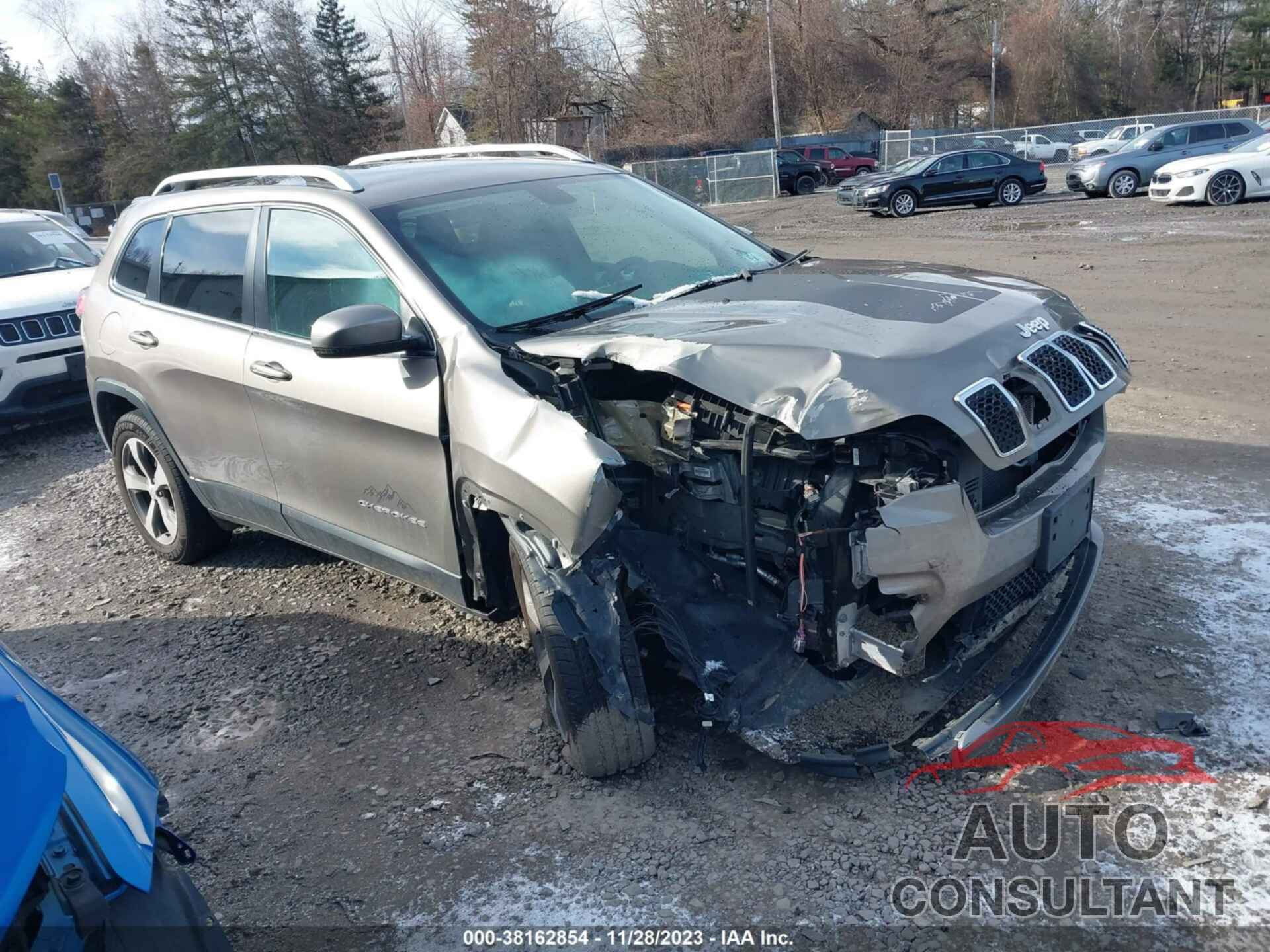 JEEP CHEROKEE 2019 - 1C4PJMDN3KD169515