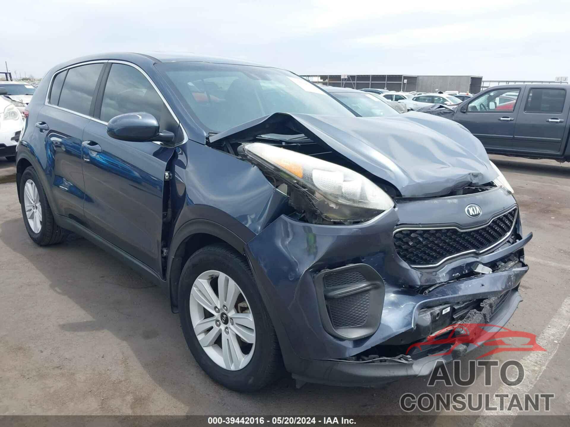 KIA SPORTAGE 2017 - KNDPM3AC5H7122790