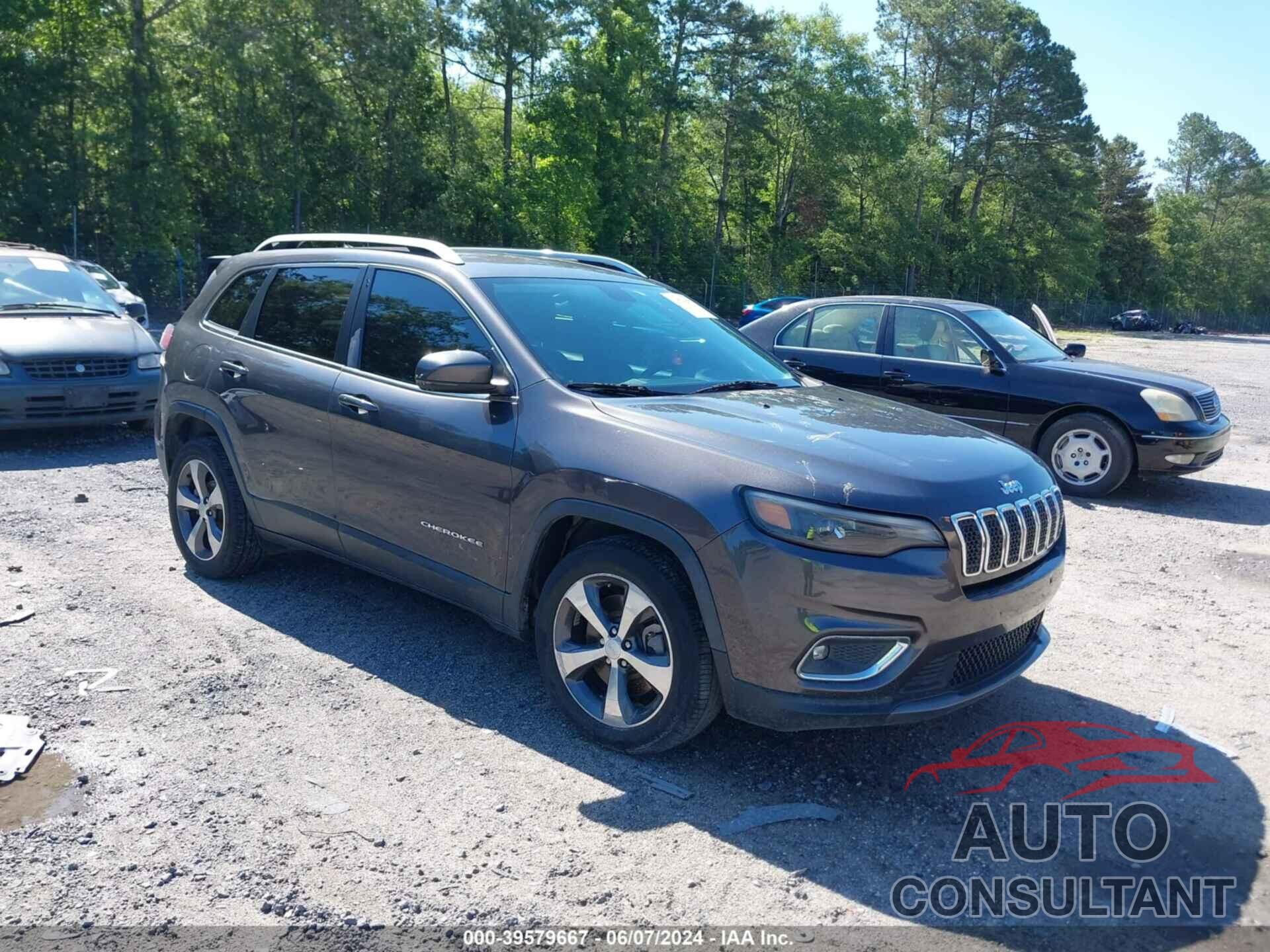 JEEP CHEROKEE 2019 - 1C4PJLDBXKD183783