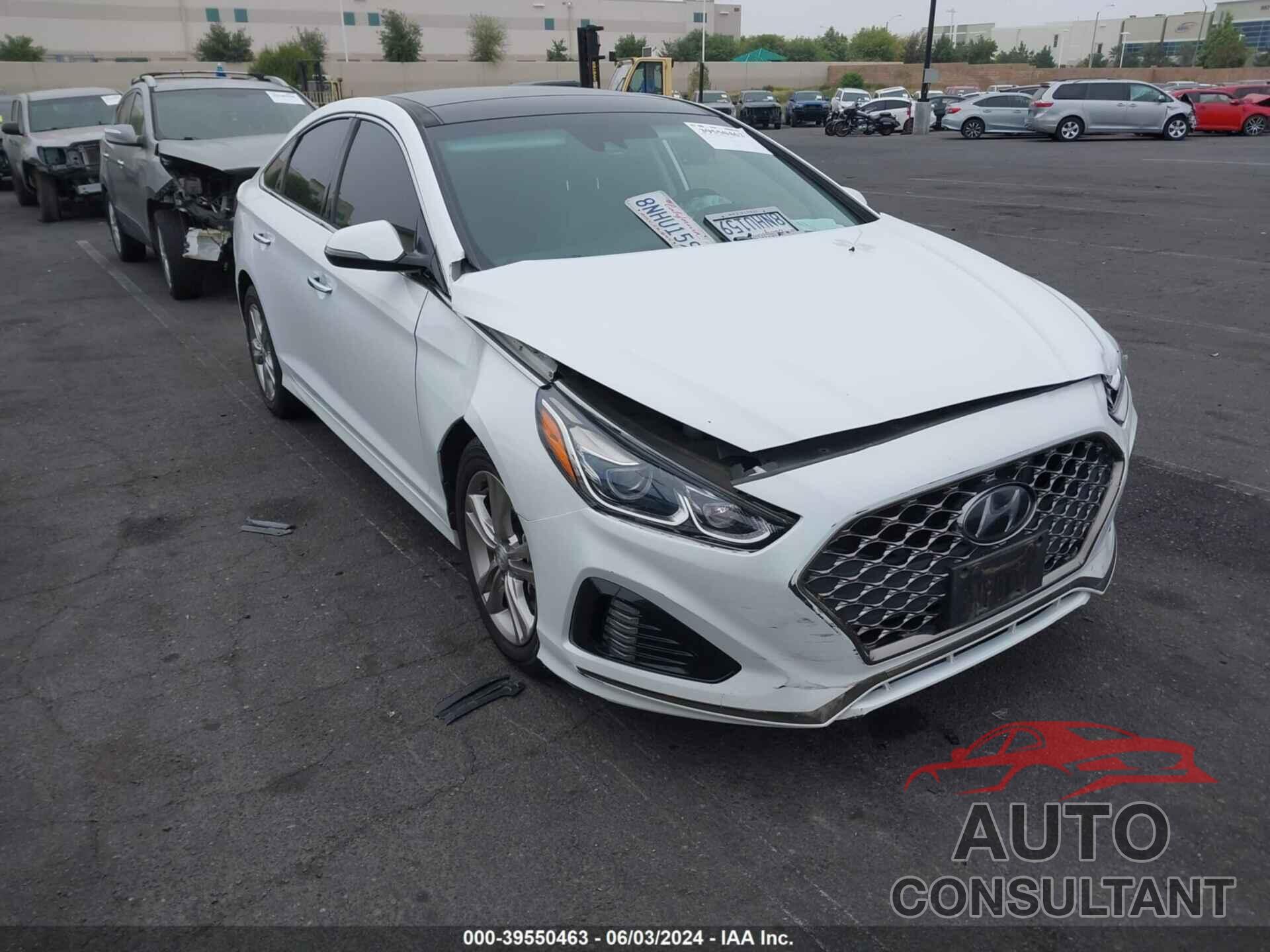 HYUNDAI SONATA 2019 - 5NPE34AF8KH818475