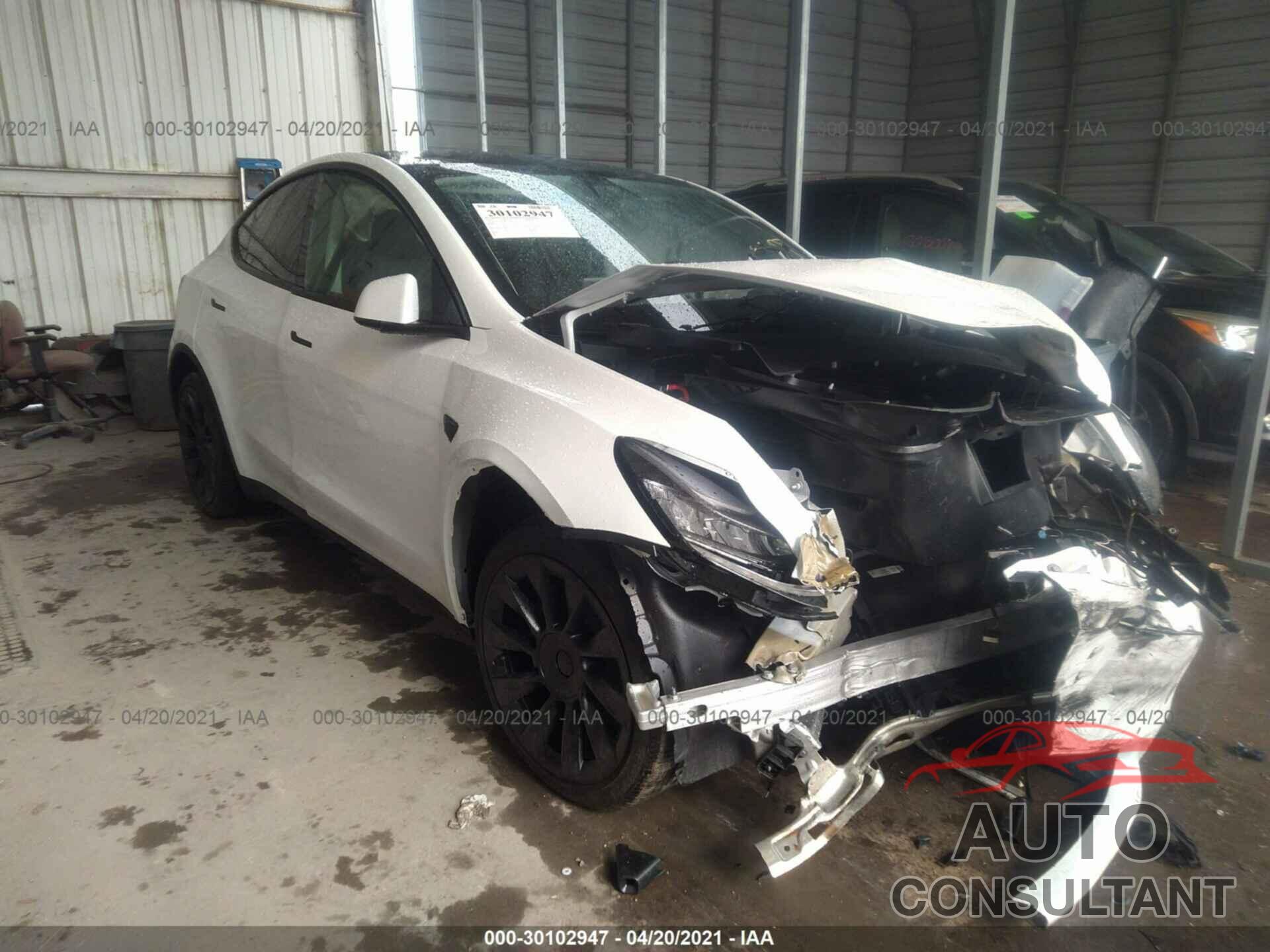 TESLA MODEL Y 2021 - 5YJYGDEE7MF119858