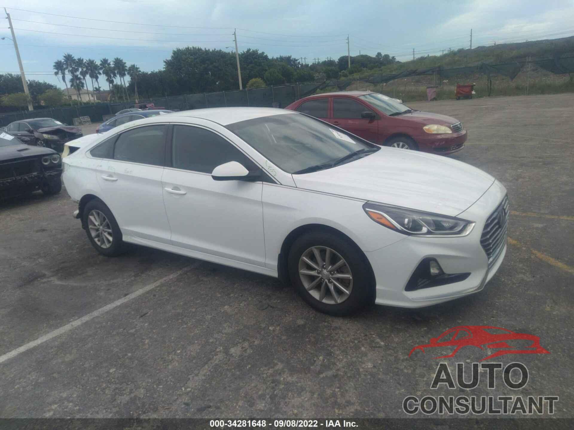 HYUNDAI SONATA 2019 - 5NPE24AF3KH797005