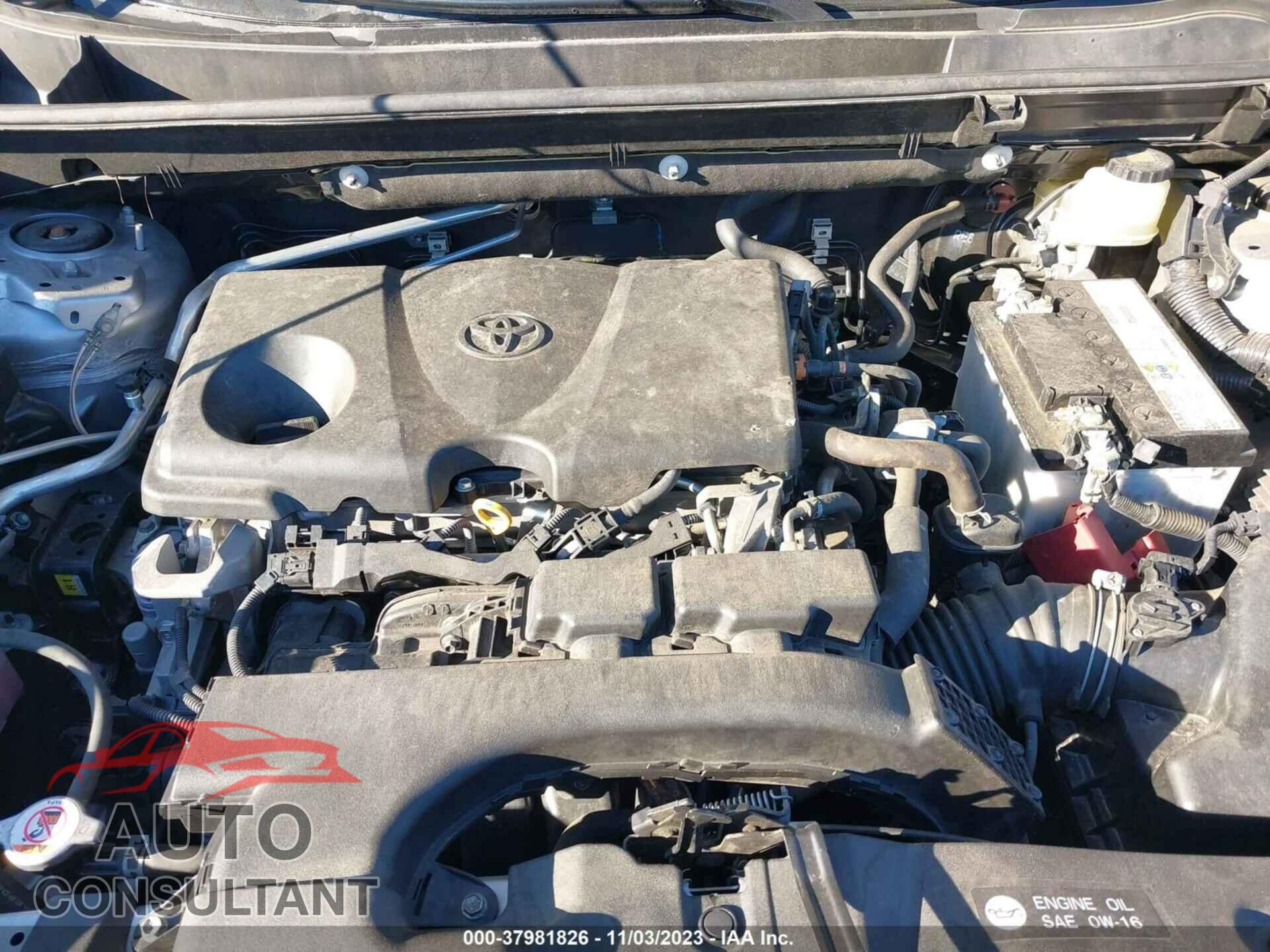 TOYOTA RAV4 2019 - JTMP1RFV5KD021165