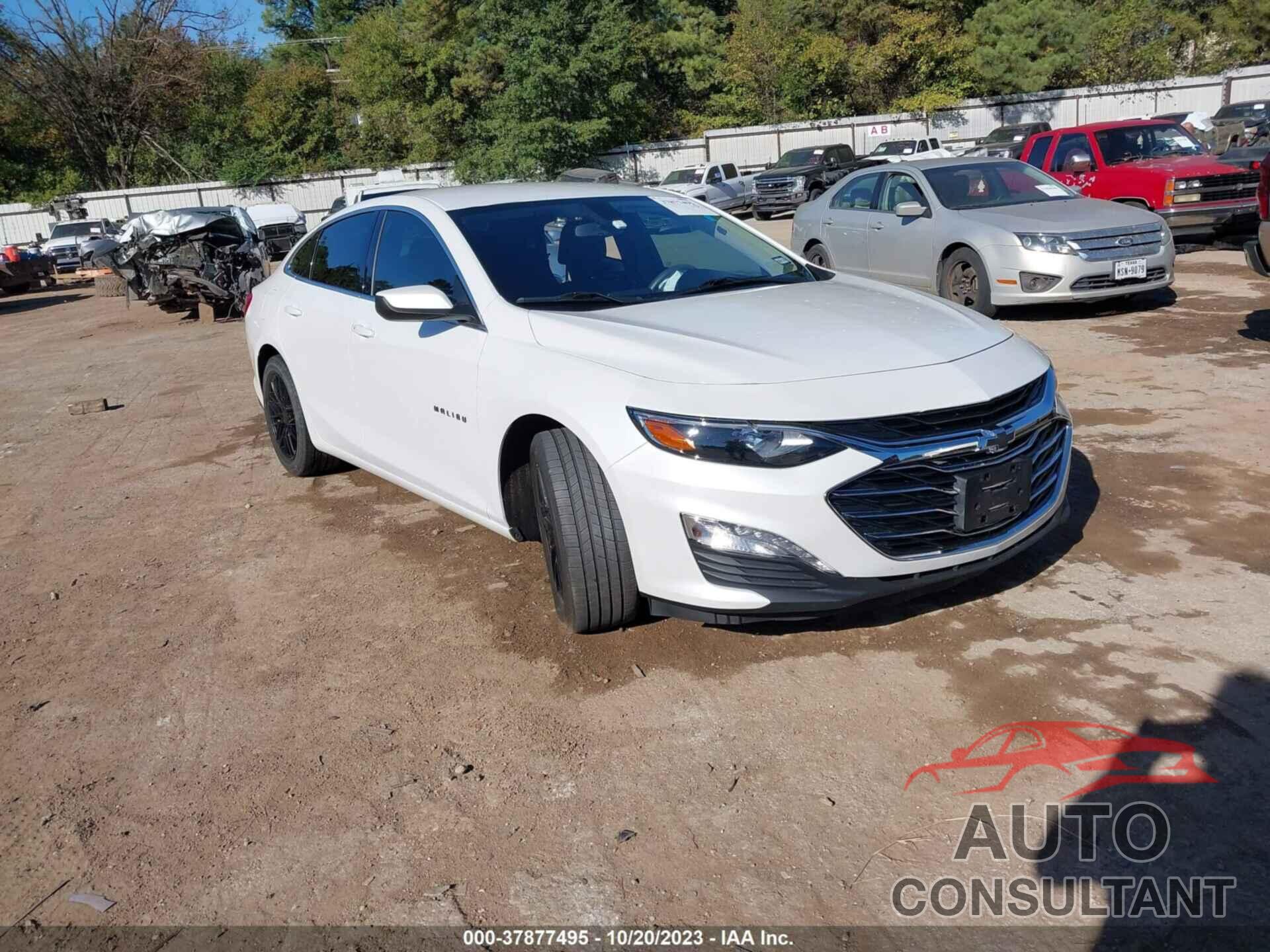 CHEVROLET MALIBU 2019 - 1G1ZD5ST0KF116484