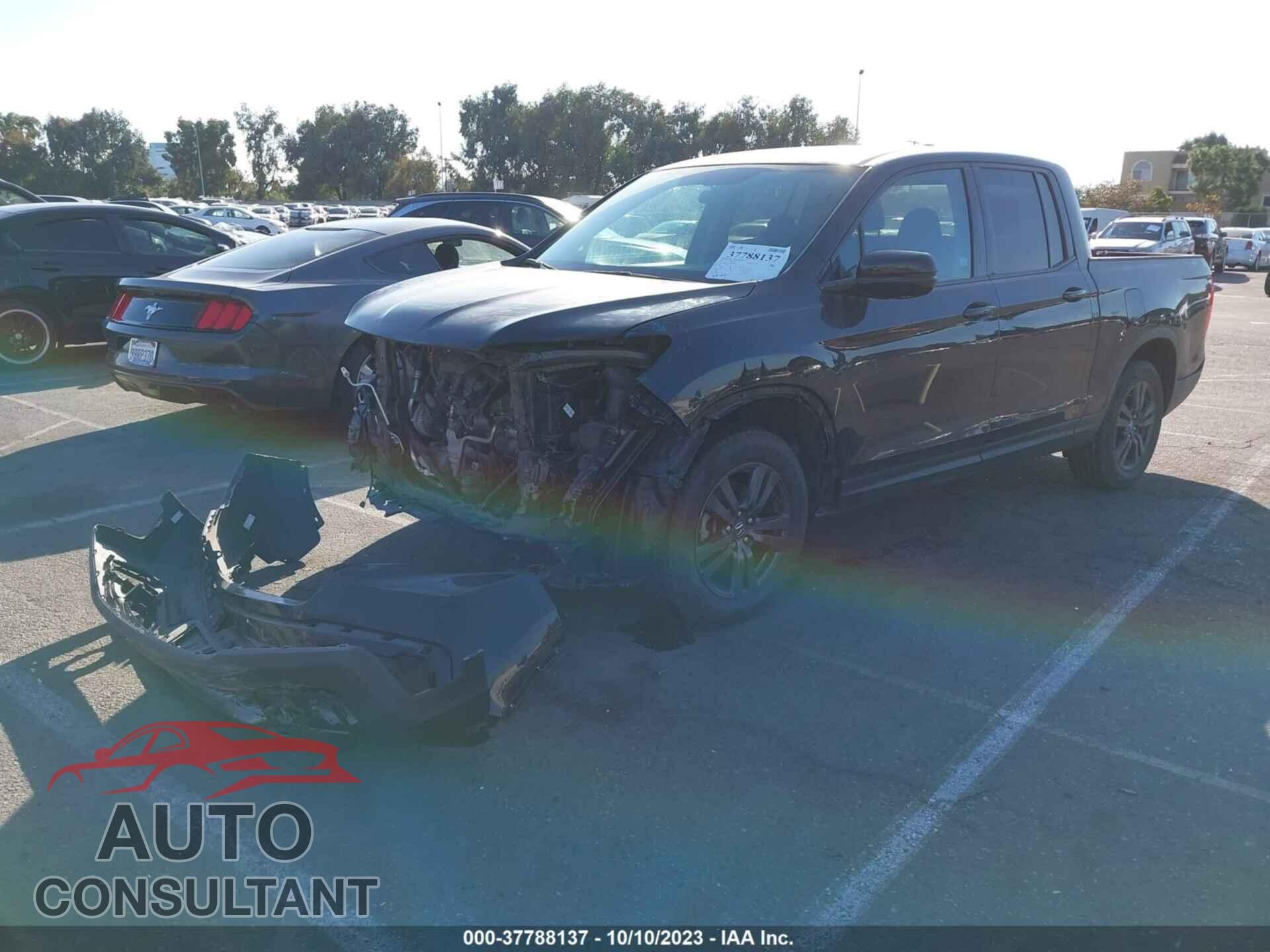 HONDA RIDGELINE 2019 - 5FPYK2F12KB008203