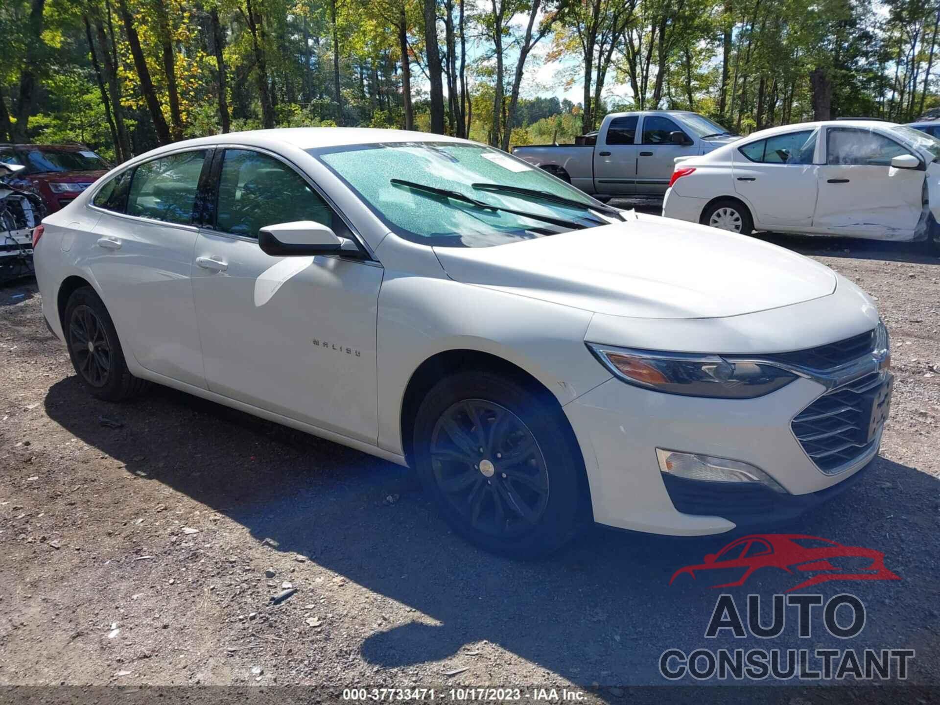 CHEVROLET MALIBU 2020 - 1G1ZD5ST6LF101263